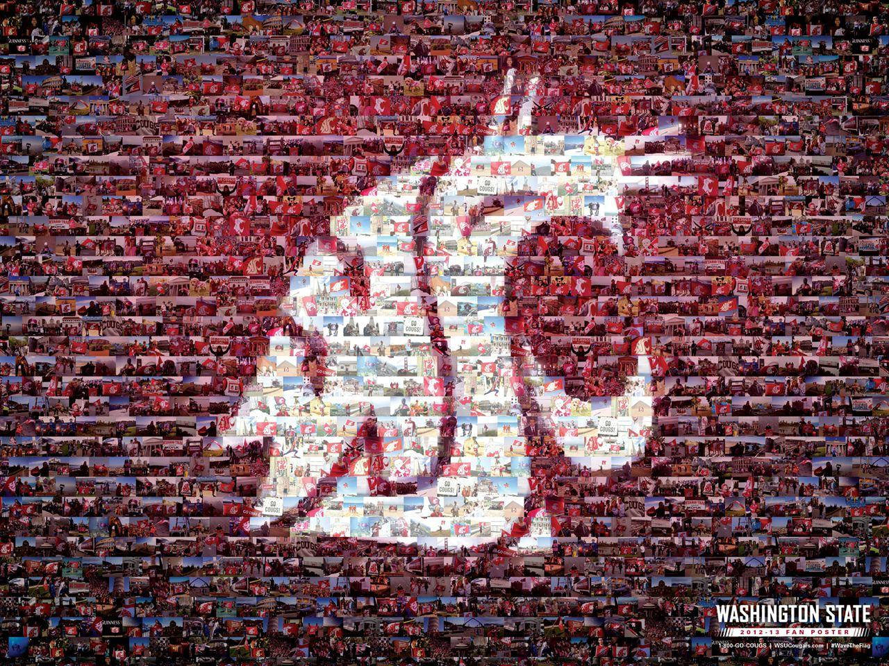 Washington State University, white cougars logo, red and blue fan images, HD Desktop Wallpaper