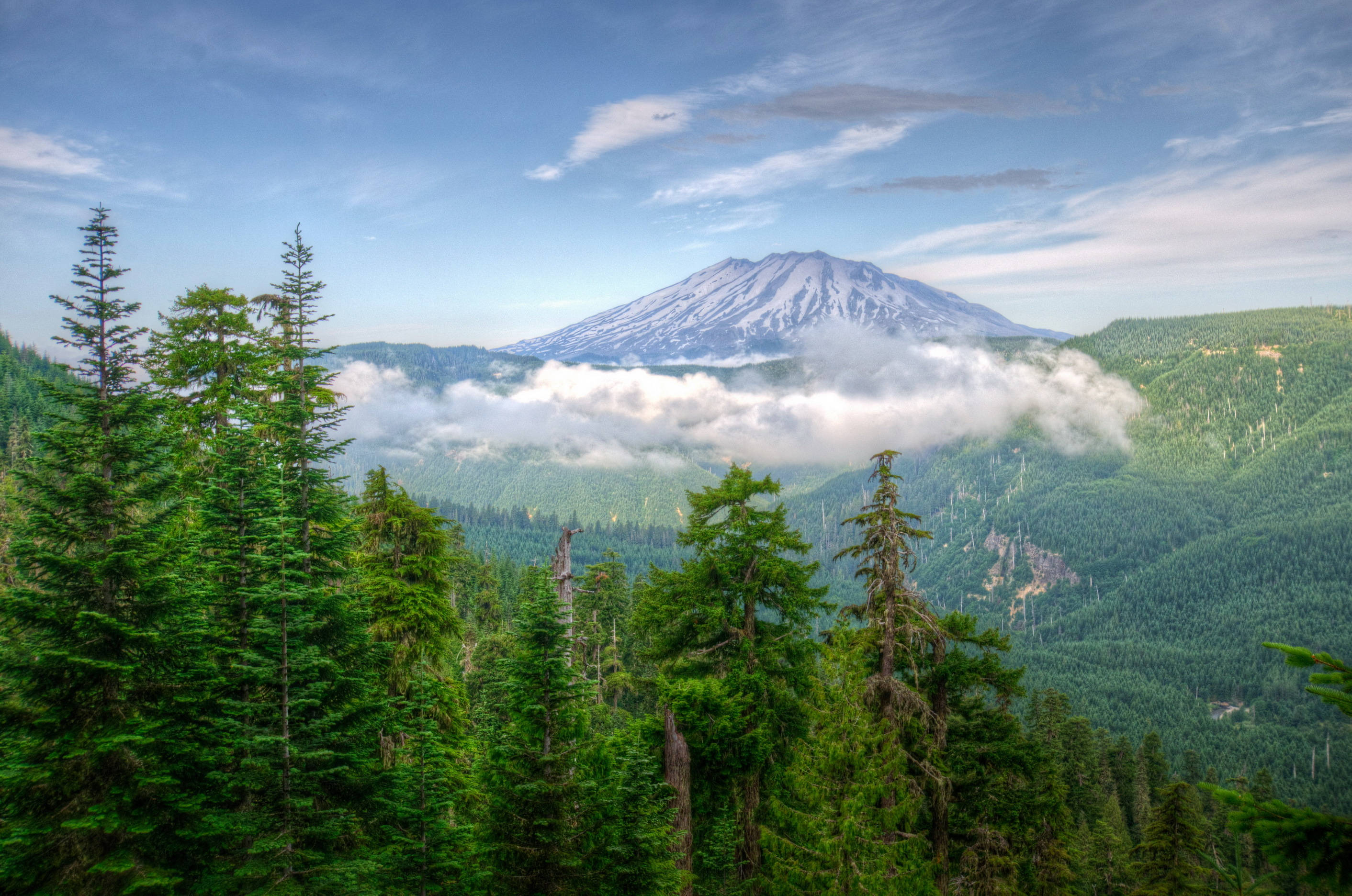 Washington, mountain, snow-capped, 2K Desktop Wallpaper