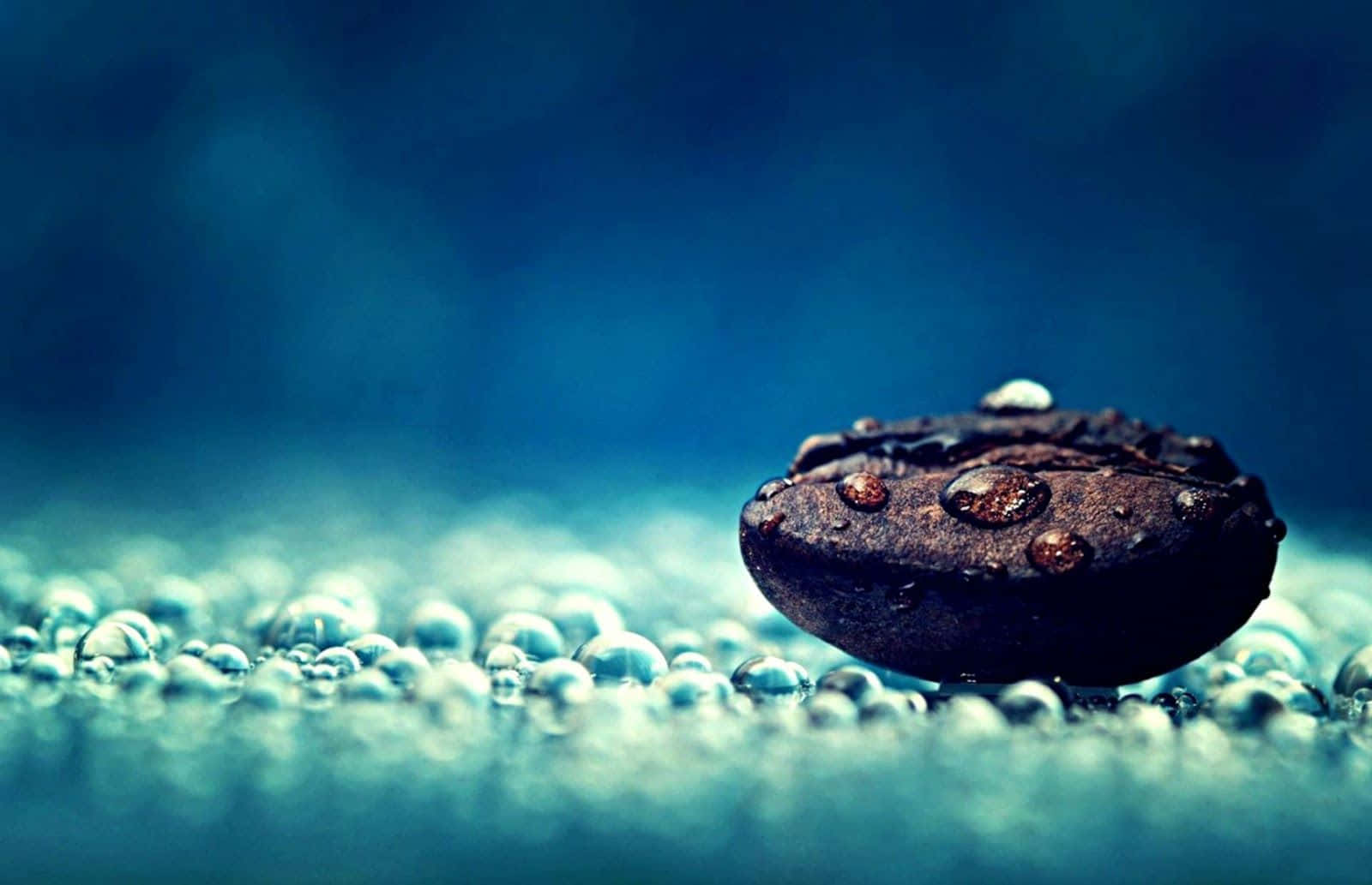 Water Droplets, dark coffee bean, water bubbles, HD Desktop Wallpaper