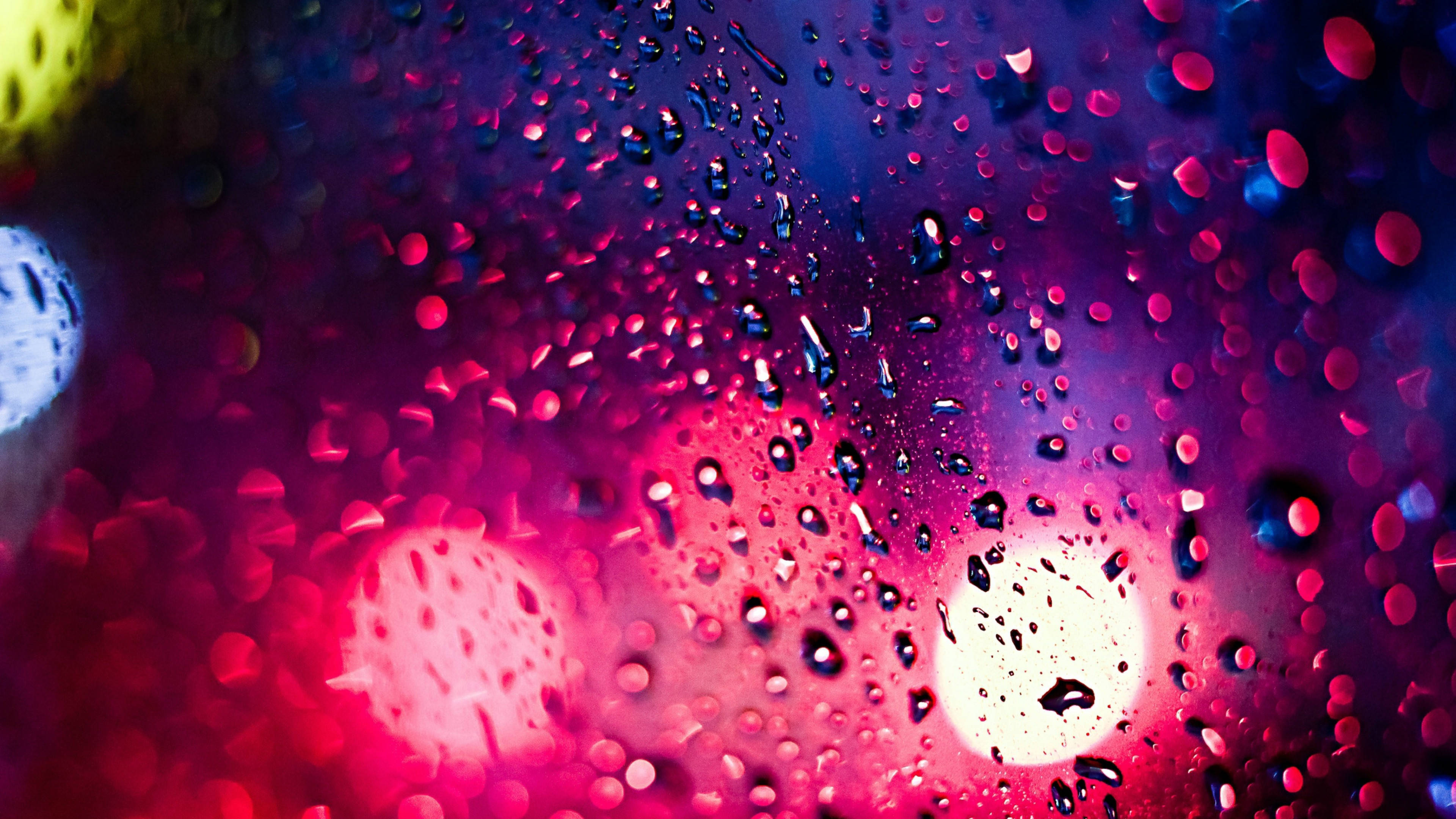 neon lights, rain-slicked glass, dreamy urban nightscape, 4K Desktop Wallpaper