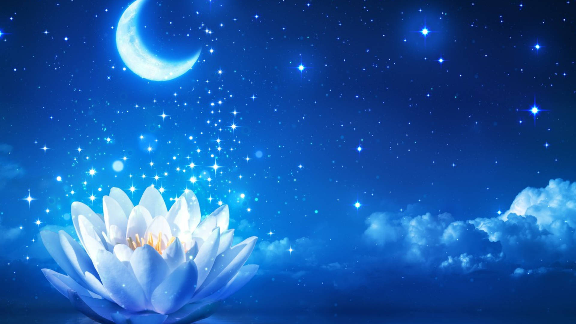glowing white lotus, crescent moon, sparkling stars, Full HD Desktop Wallpaper