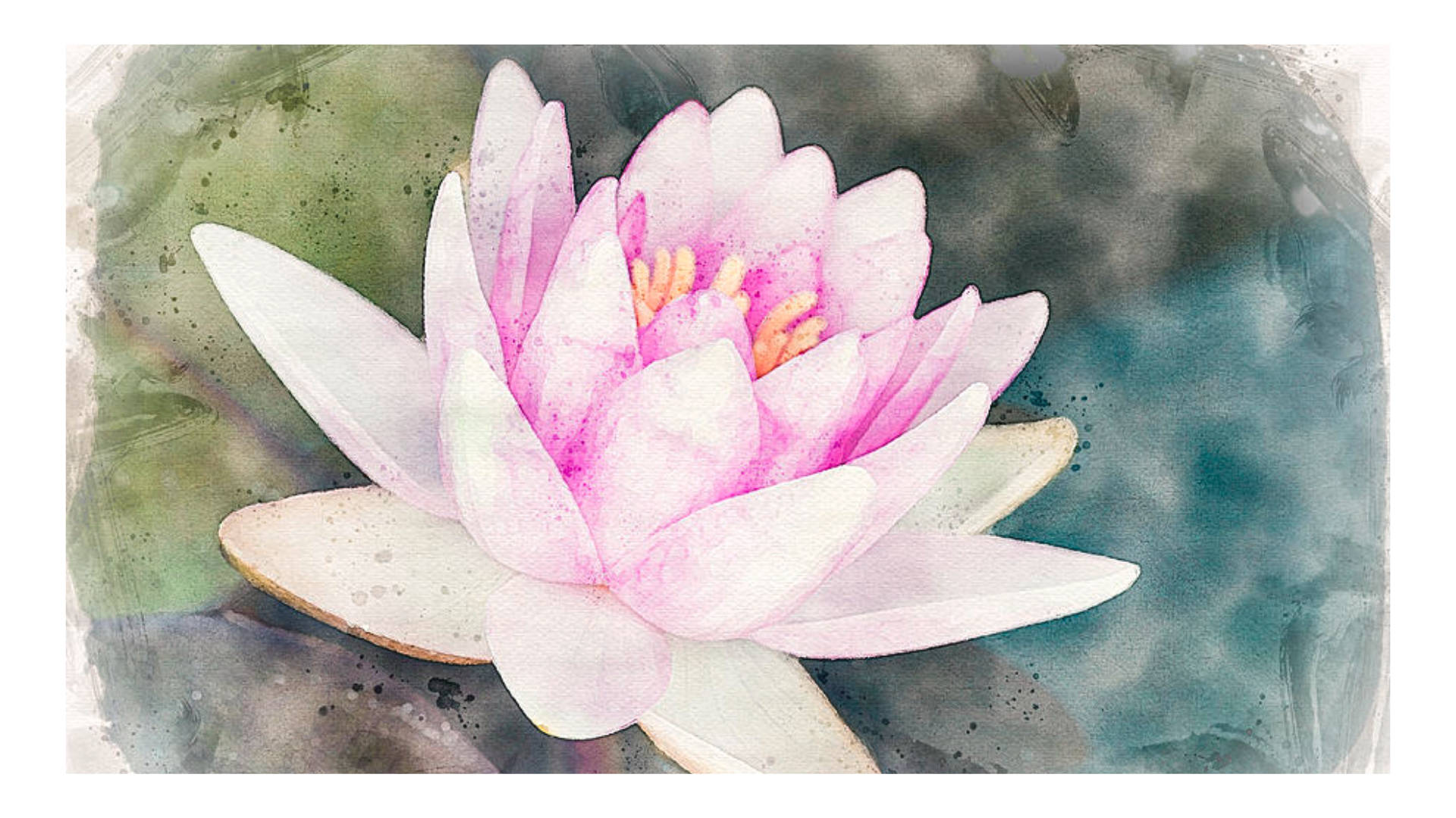 water lily, water color painting, pink, Full HD Desktop Wallpaper