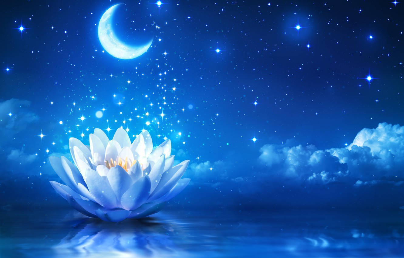 glowing white lotus, crescent moon, sparkling stars, HD Desktop Wallpaper