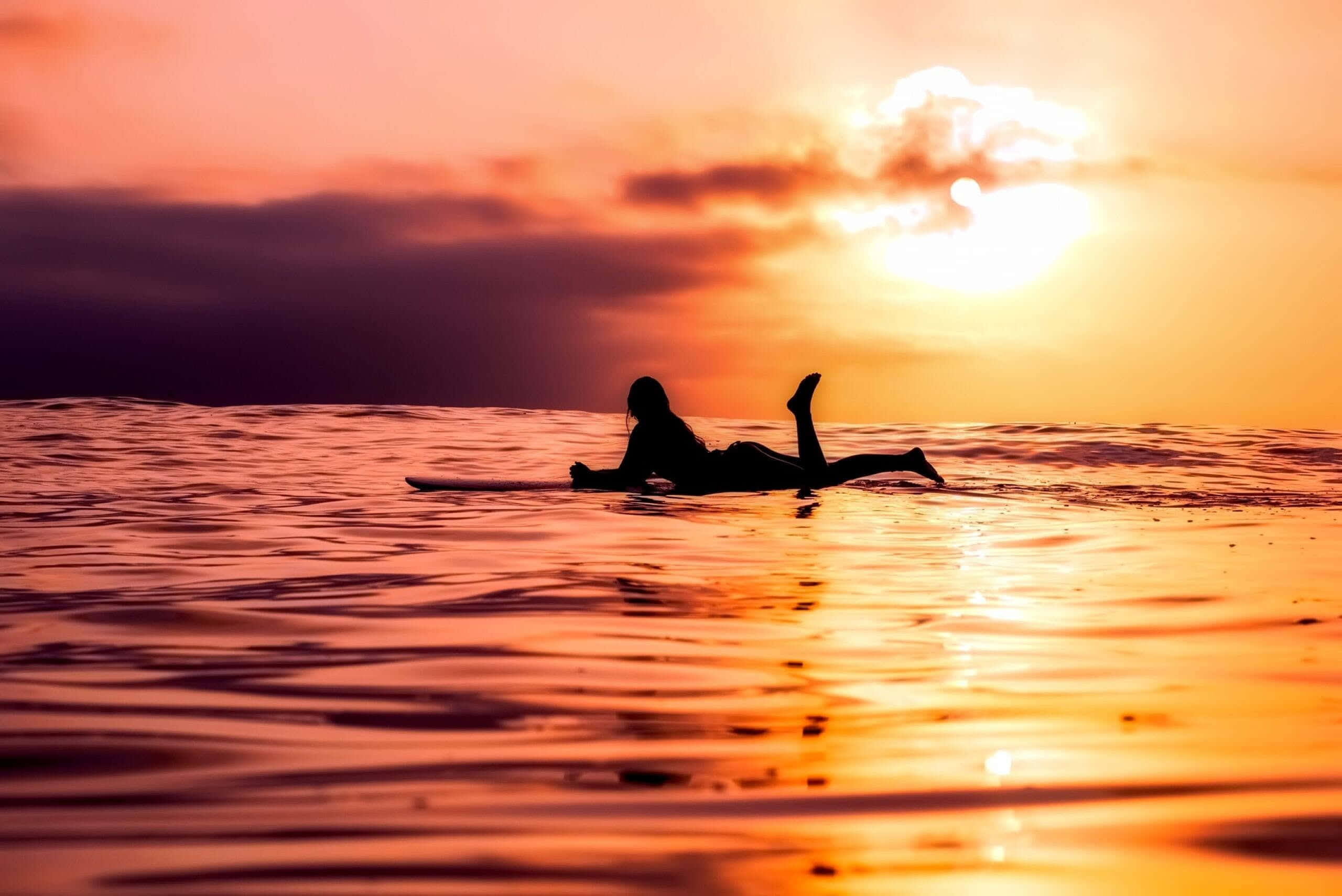 surfer, board, sunset, 2K Desktop Wallpaper