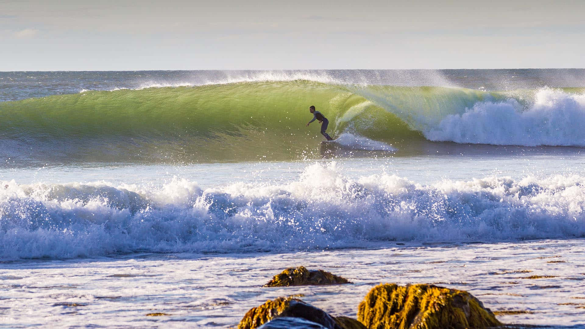 beach, water sports, surfer, Full HD Desktop Wallpaper