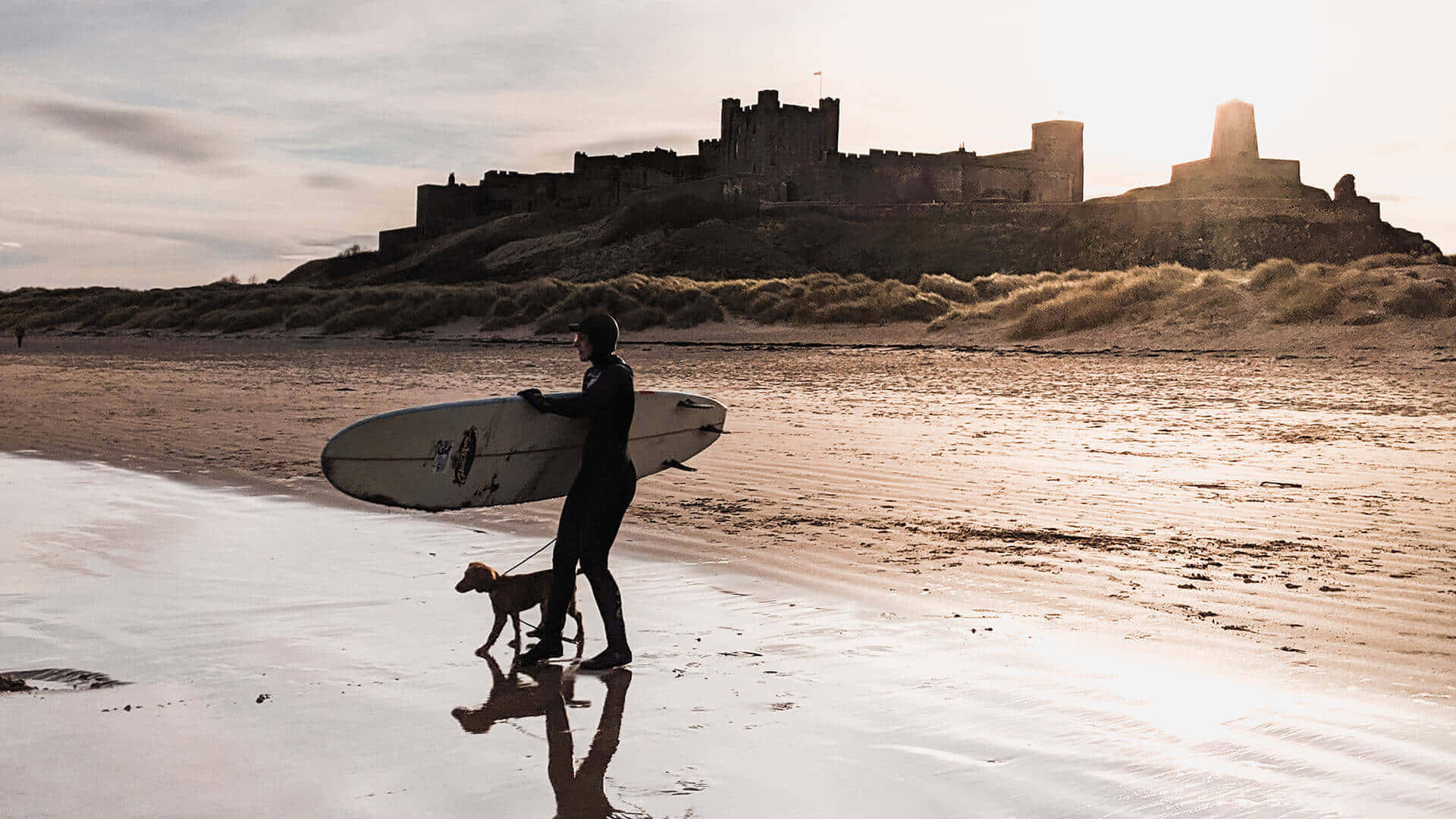 surfer, dog, wet beach, Full HD Desktop Wallpaper