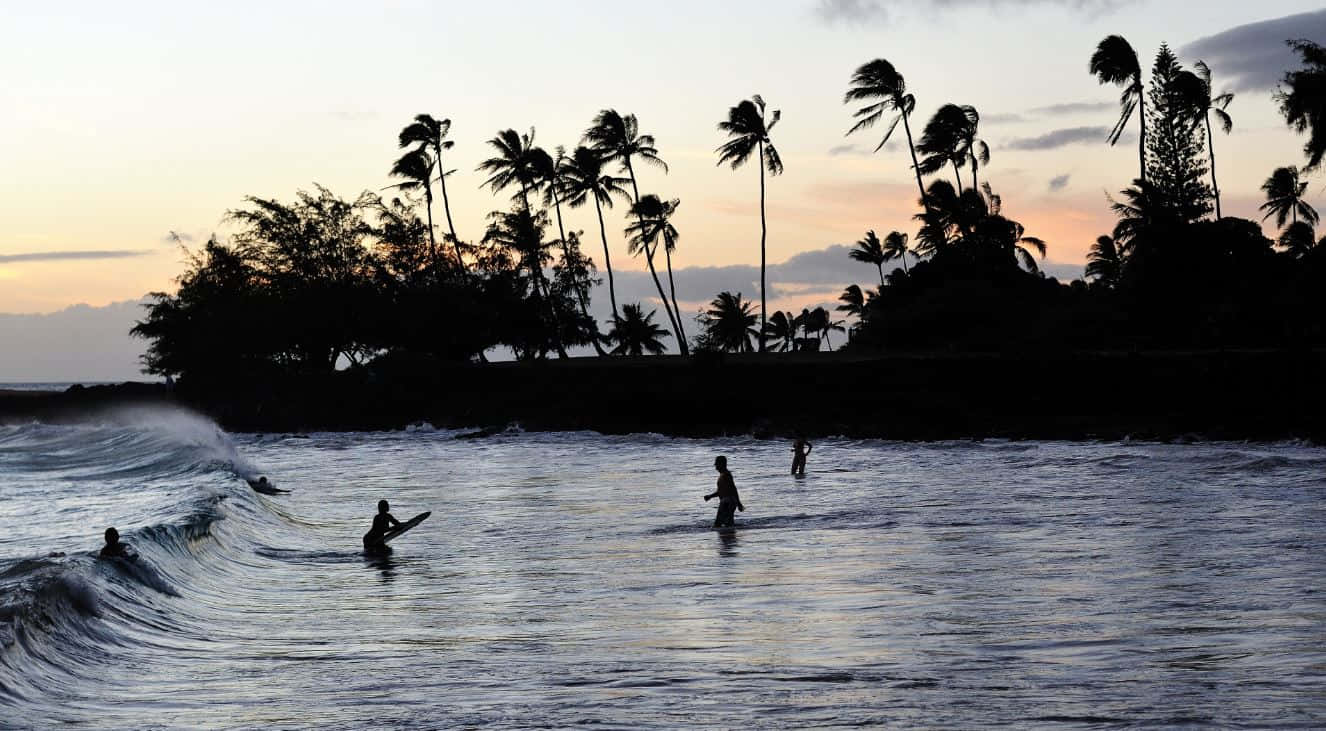 beach water sports, surfers, gentle waves, HD Desktop Wallpaper