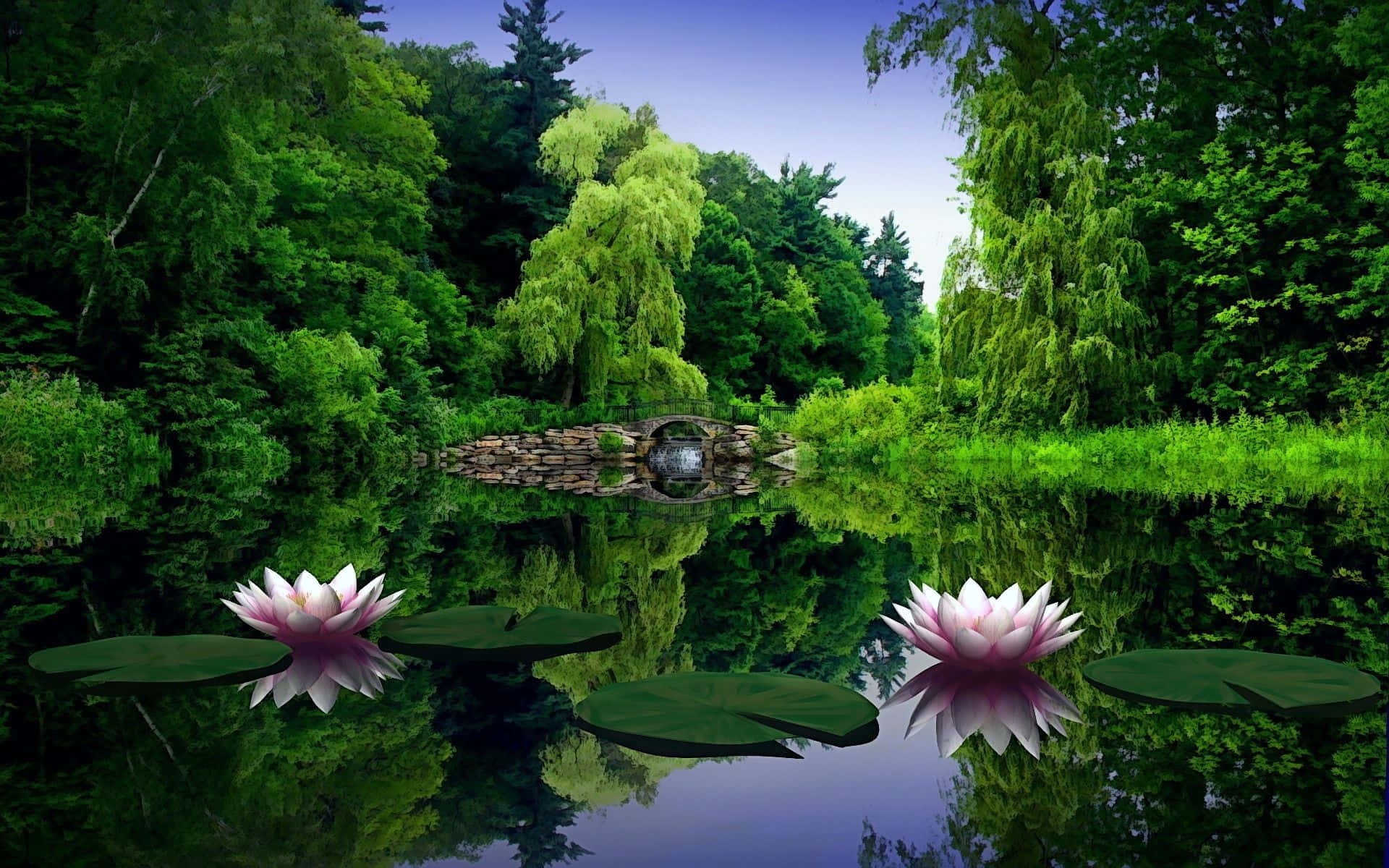 pond, pink water lilies, stone bridge, Full HD Desktop Wallpaper