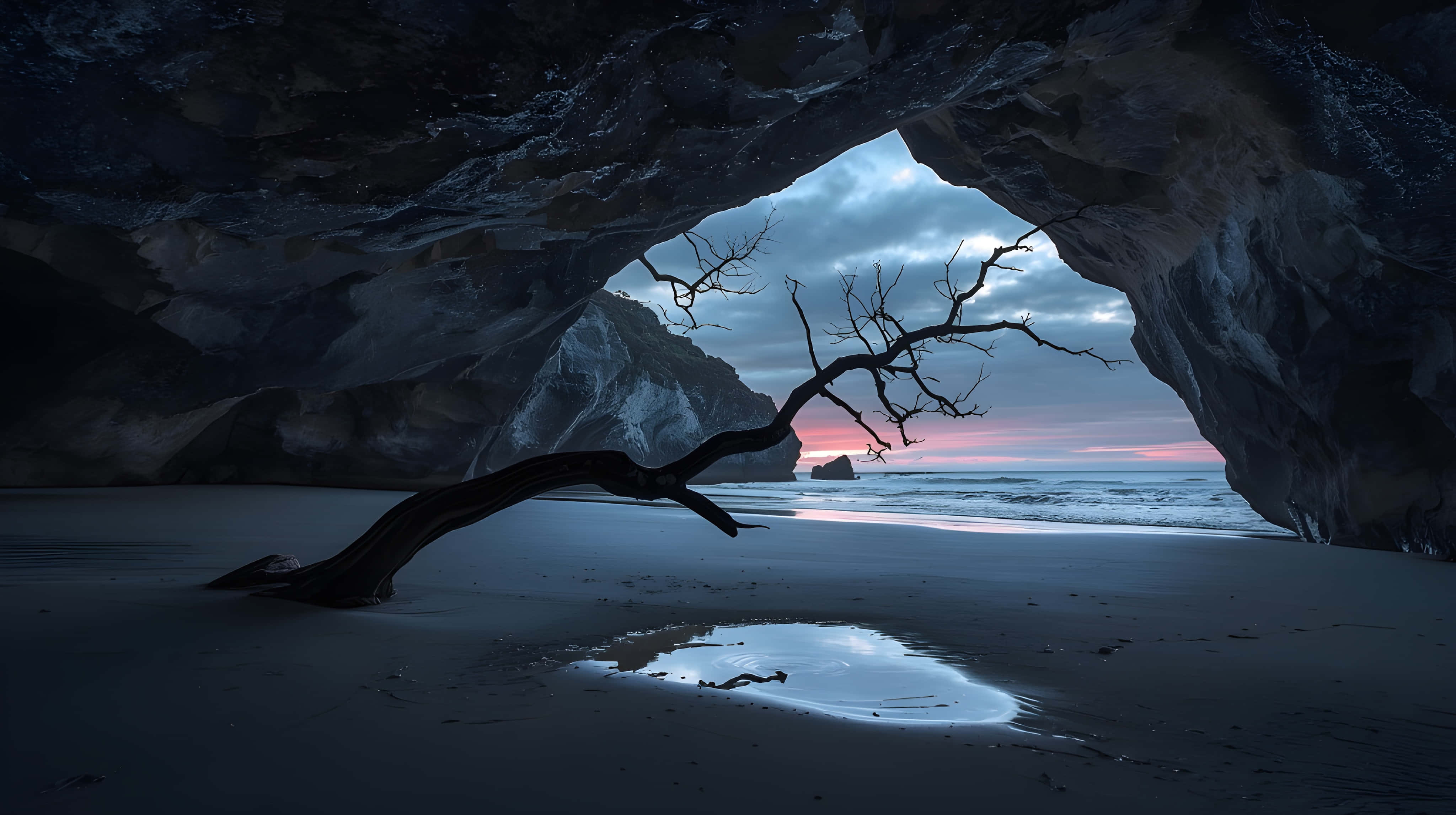 lone dead tree, dark cave, twilight beach, 4K Desktop Wallpaper