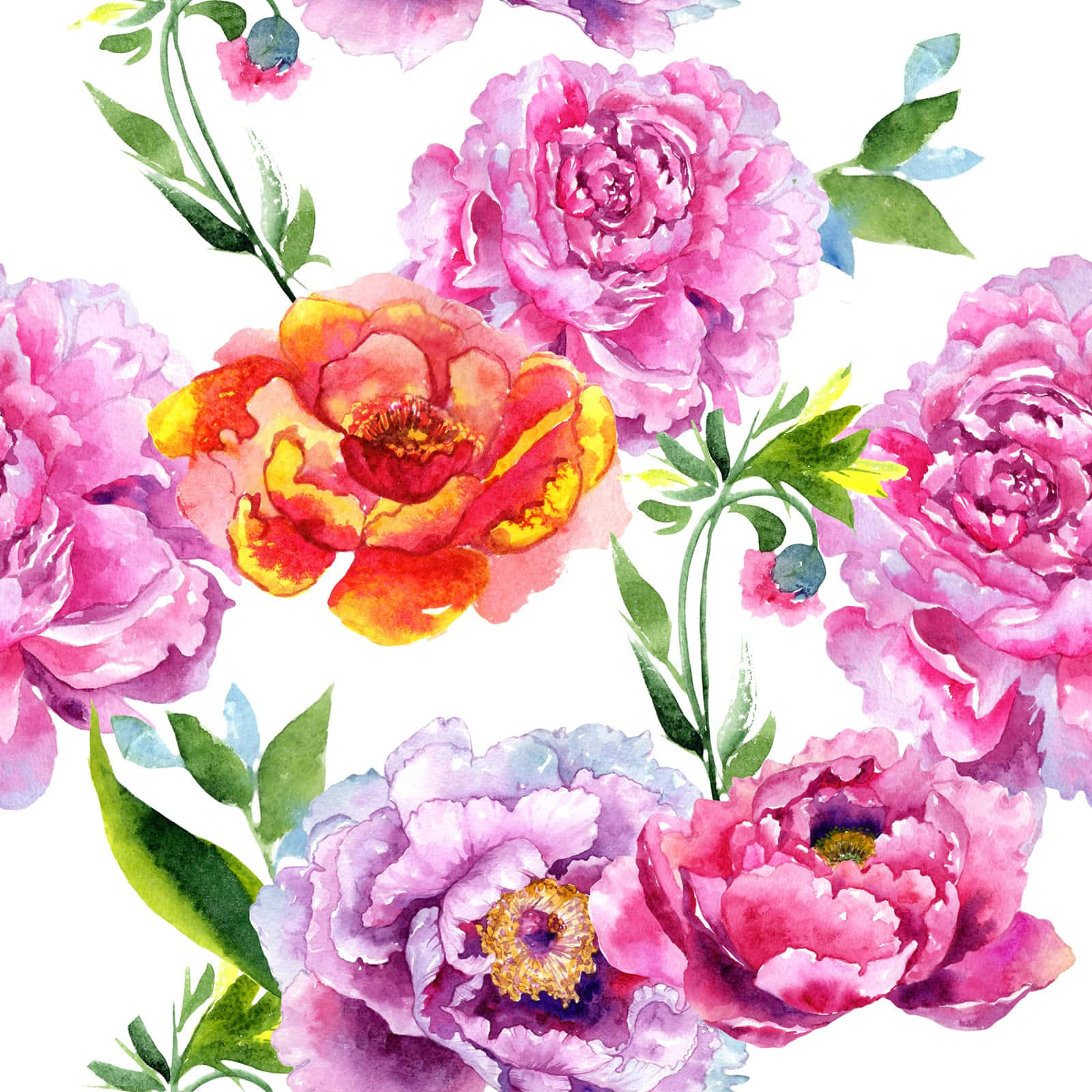watercolor floral, carnation, pink, HD Desktop Wallpaper