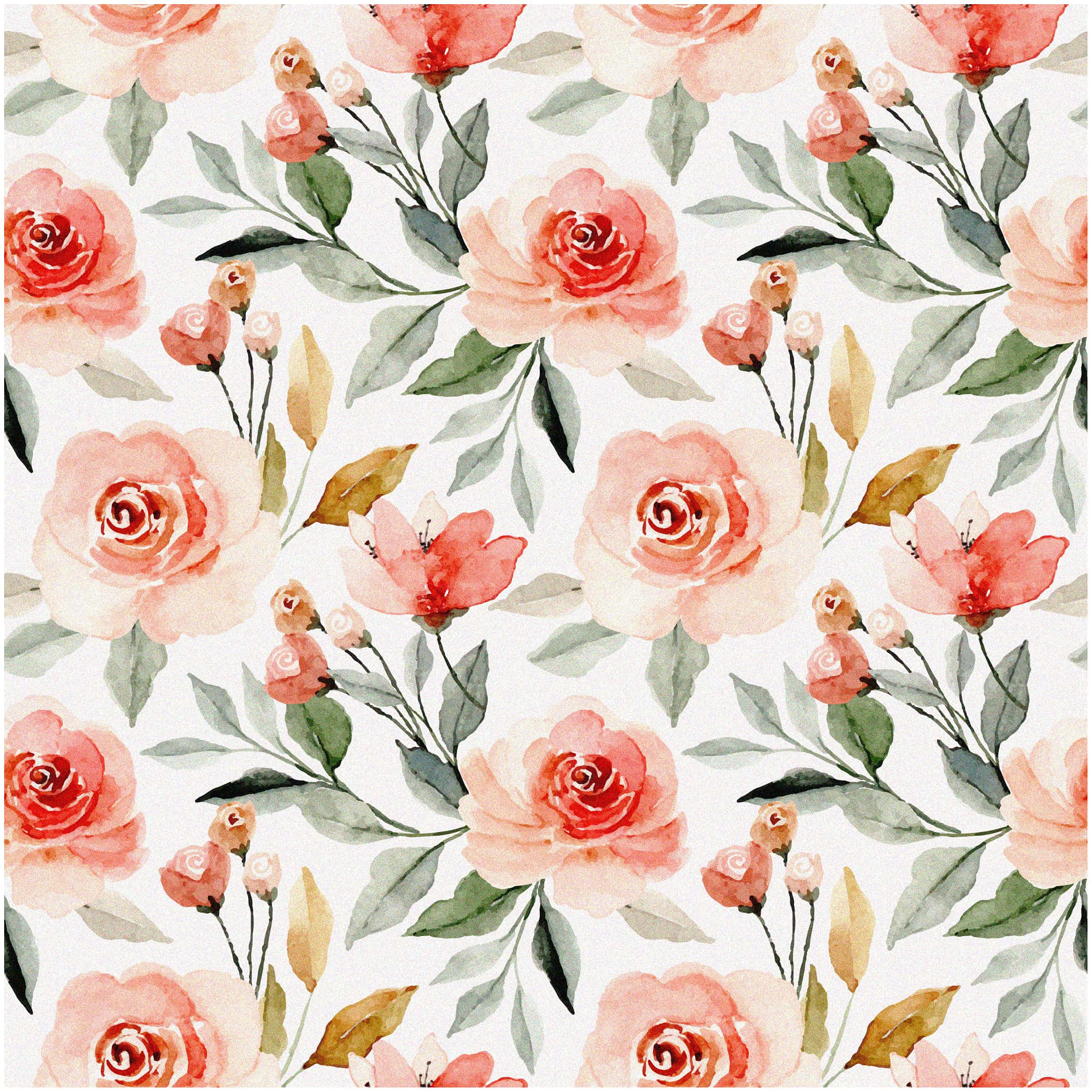 watercolor floral, pink rose, green leaves, Full HD Desktop Wallpaper