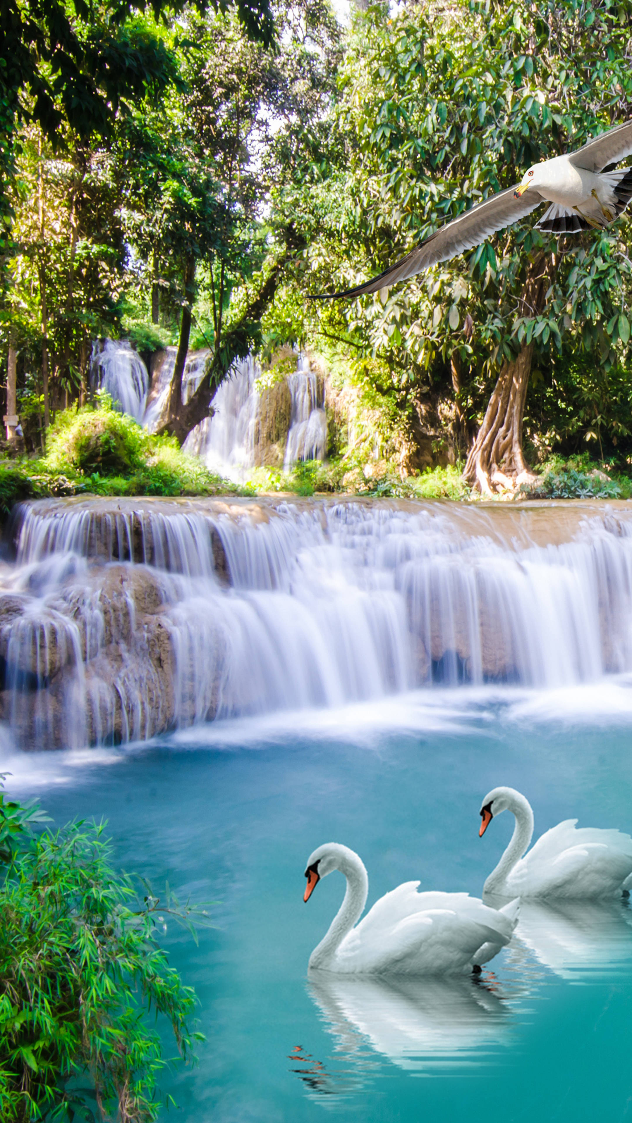 turquoise waters, cascading waterfall, lush green jungle foliage, 4K Phone Wallpaper