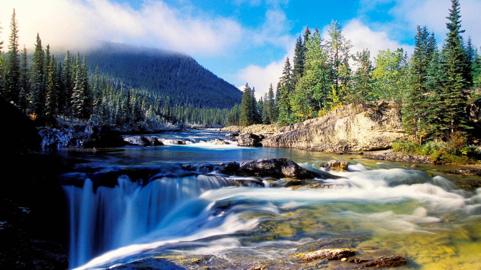 mountain river, pine forest, bright blue sky, Full HD Desktop Wallpaper