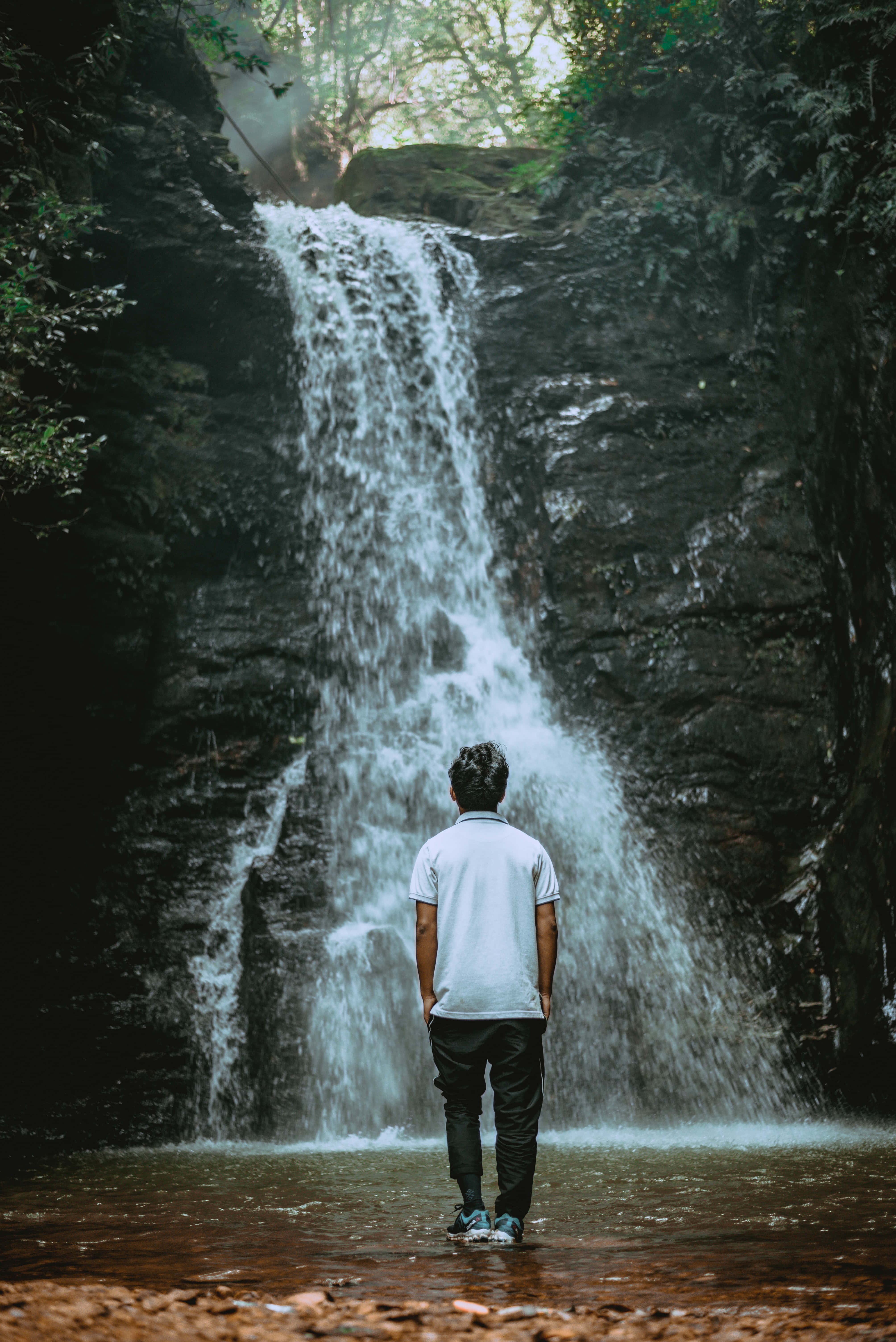 waterfall, shallow water, lush green forest, 5K Phone Wallpaper