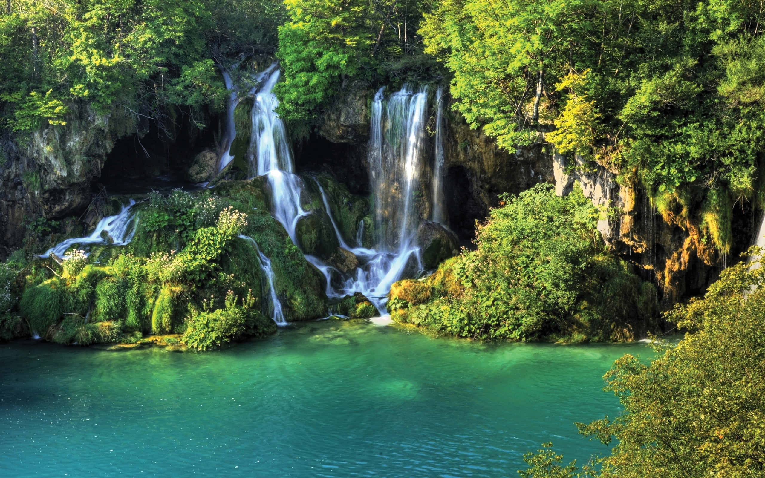 Jungle Desktop, waterfalls, mossy rocks, 2K Desktop Wallpaper