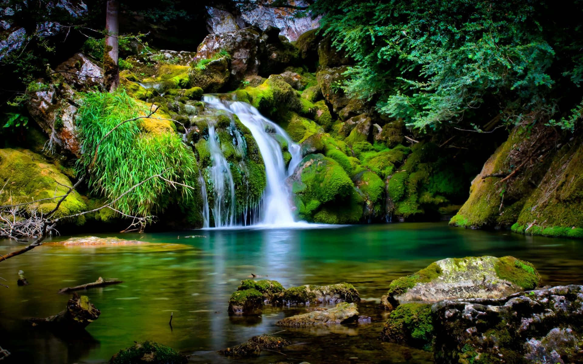 Tropical Forest, waterfall, mossy rocks, Full HD Desktop Wallpaper