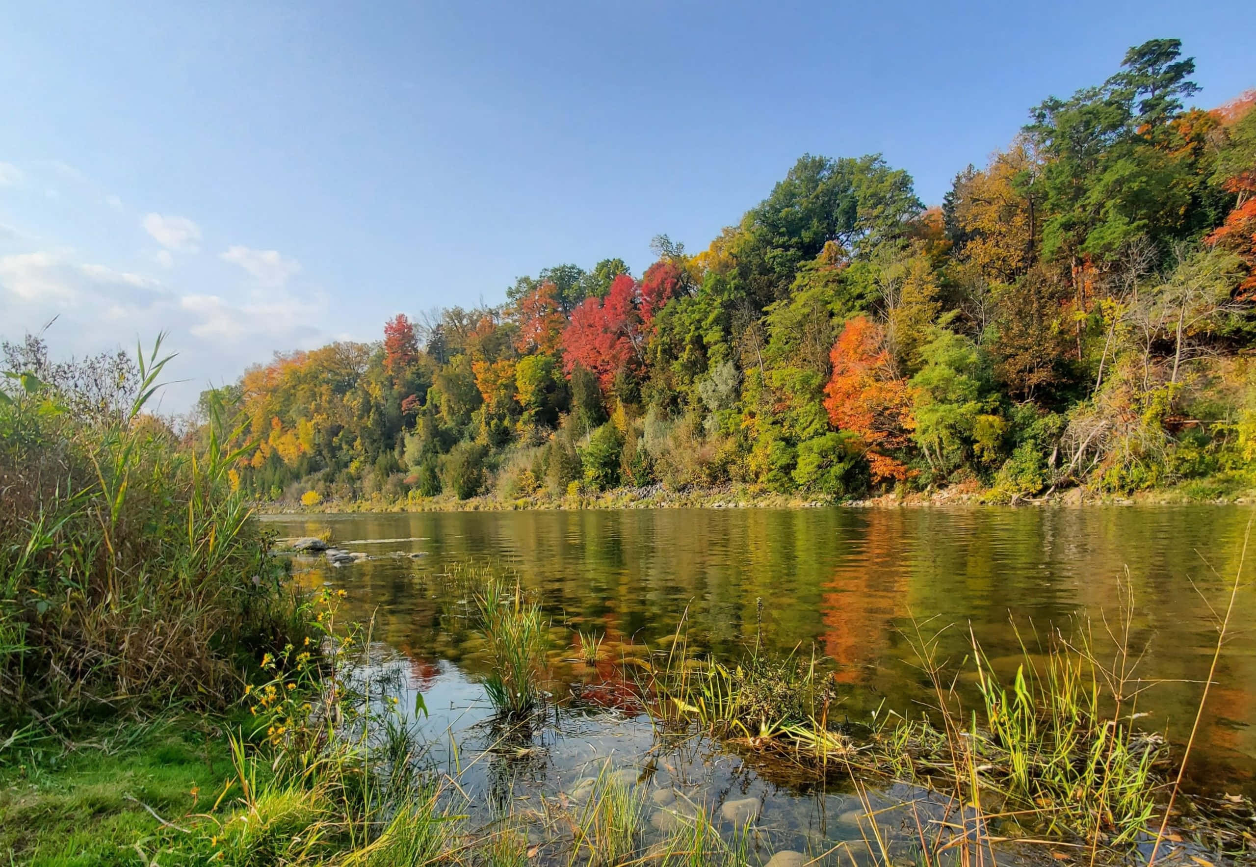 autumn riverbank, Waterloo Canada, vibrant autumn foliage, 2K Desktop Wallpaper