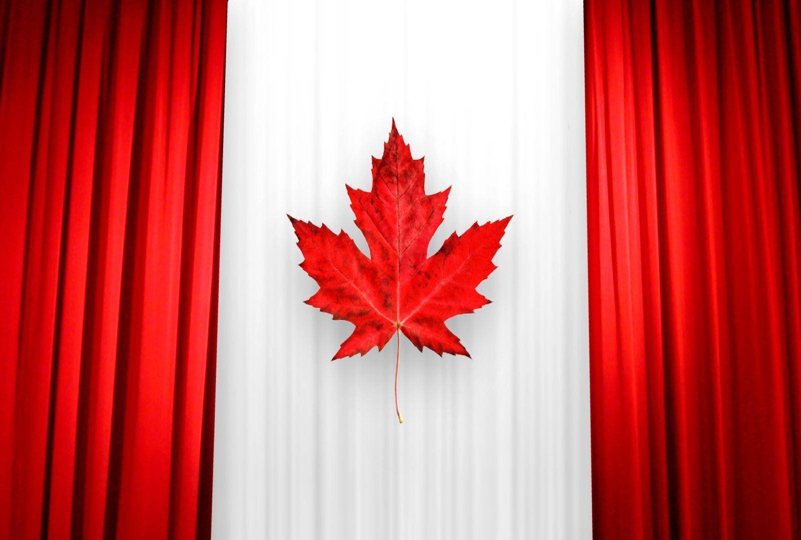 Canada Flag, red maple leaf, white curtain, HD Desktop Wallpaper
