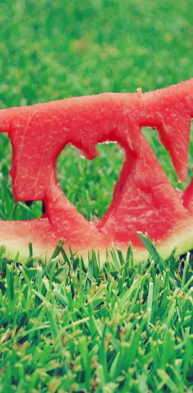 watermelon, iPhone, vibrant red, HD Phone Wallpaper
