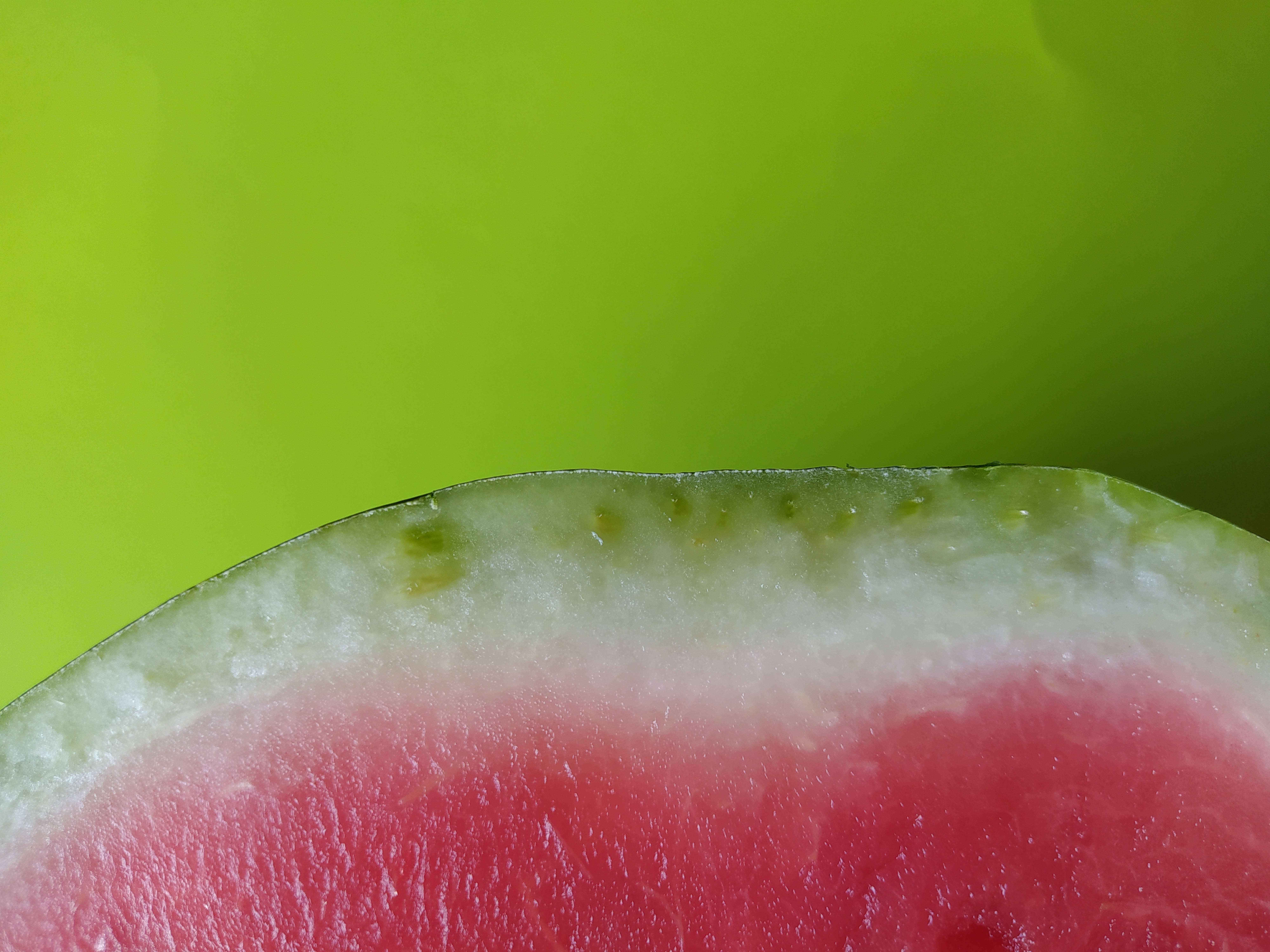 green watermelon fruit, juicy red flesh, pale rind, 8K Desktop Wallpaper