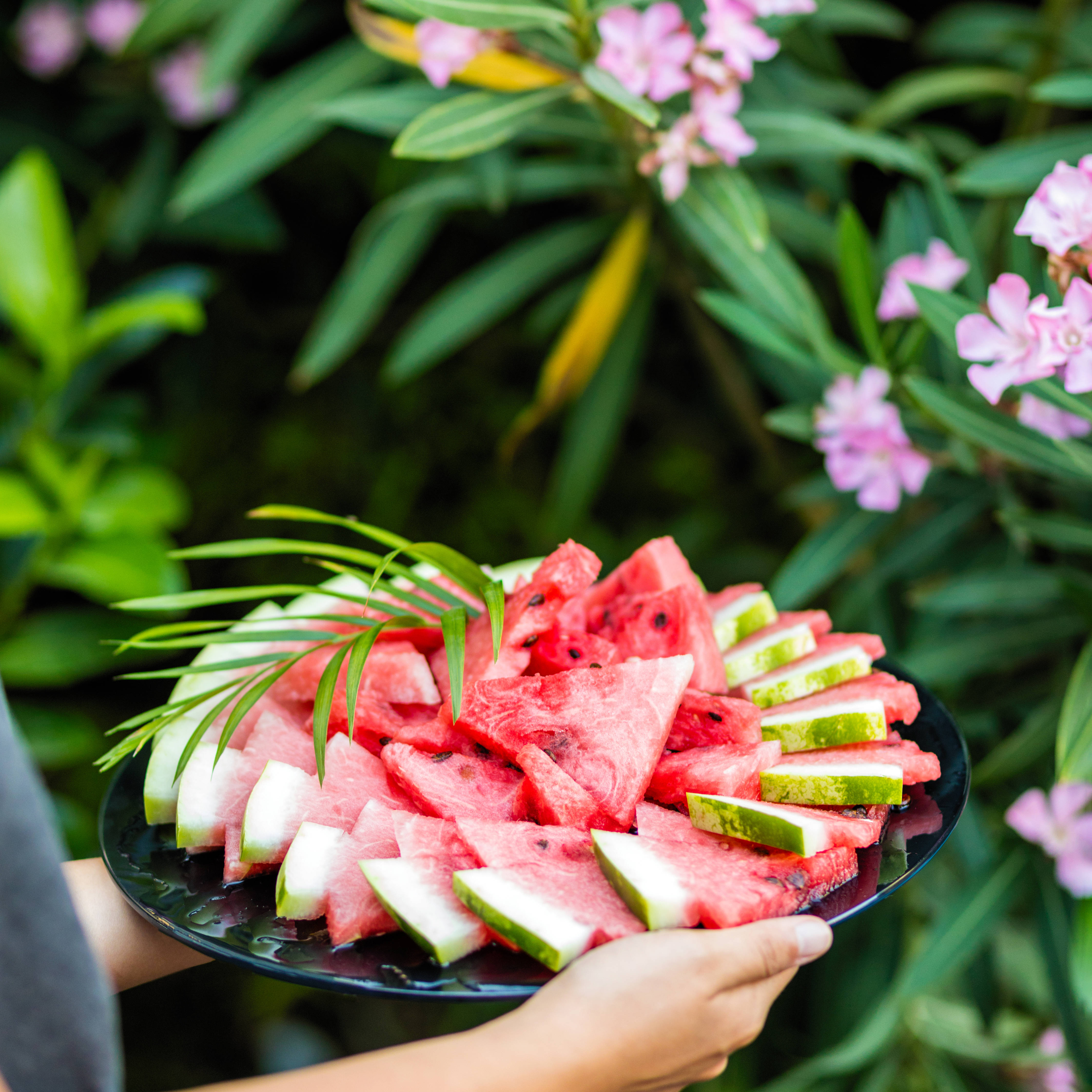 watermelon slices, plate, palm leaves, 4K Desktop Wallpaper