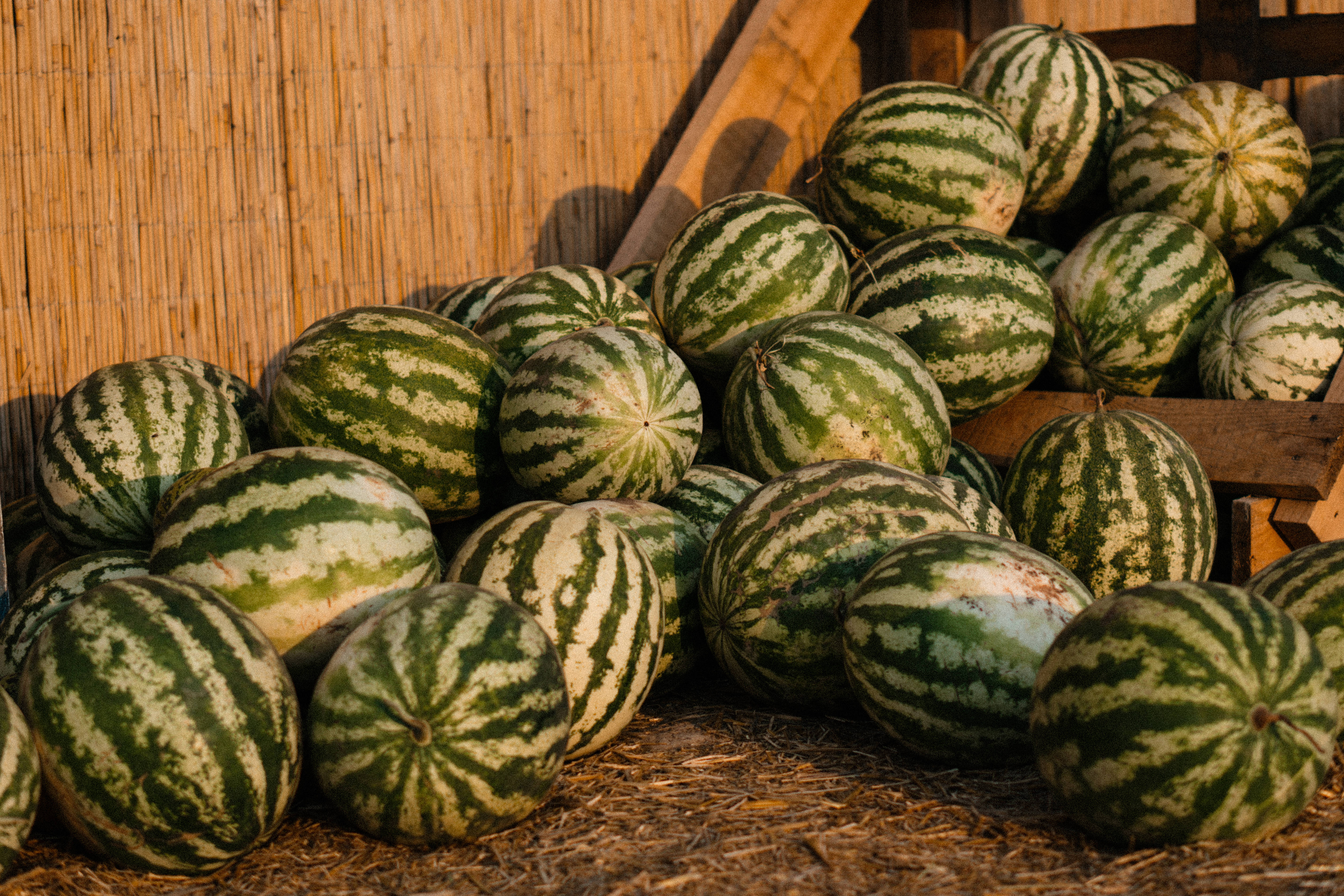 striped watermelons, straw, wooden crate, 5K Desktop Wallpaper