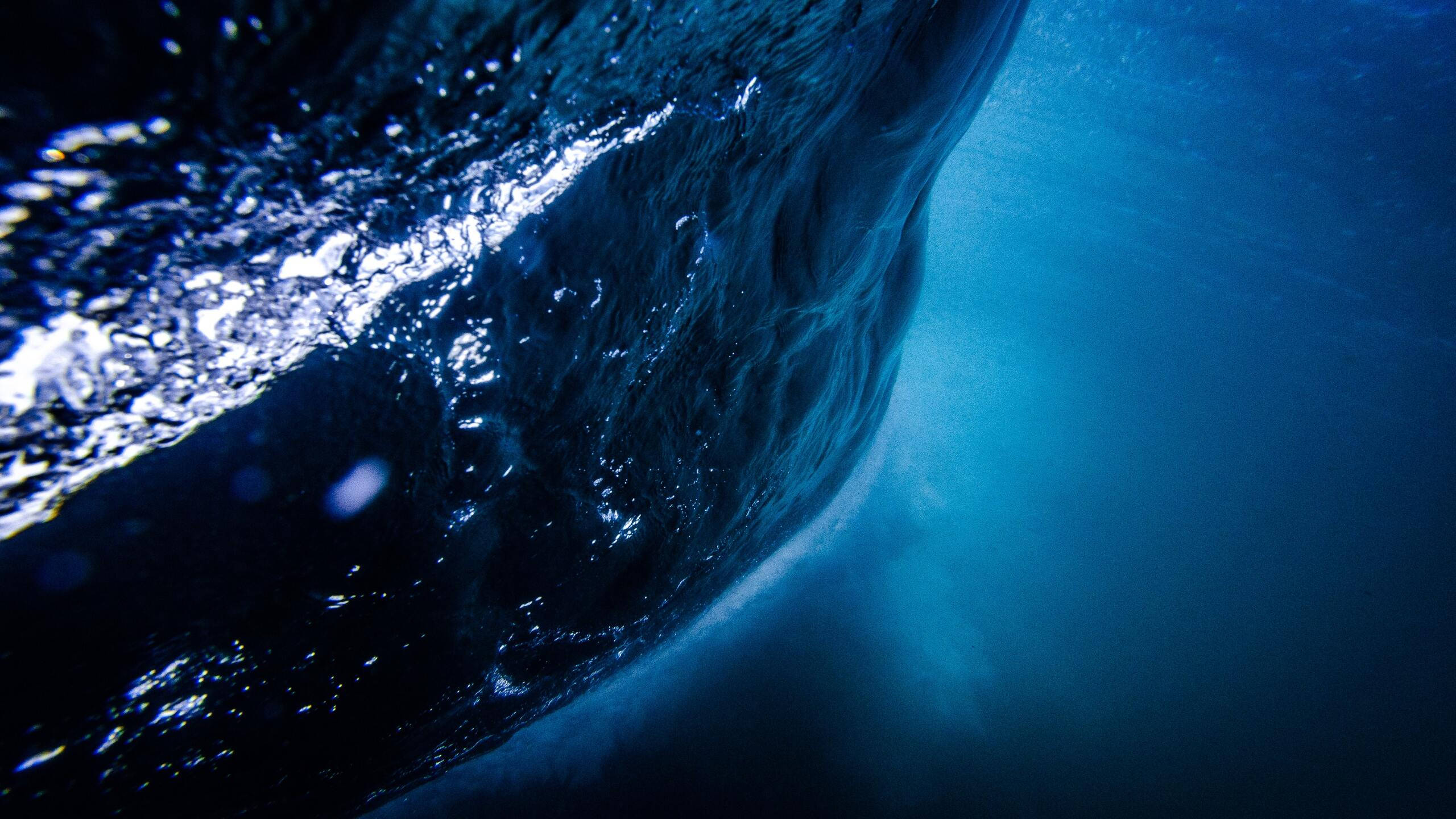 2560 x 1440, sea wave, underwater, 2K Desktop Wallpaper