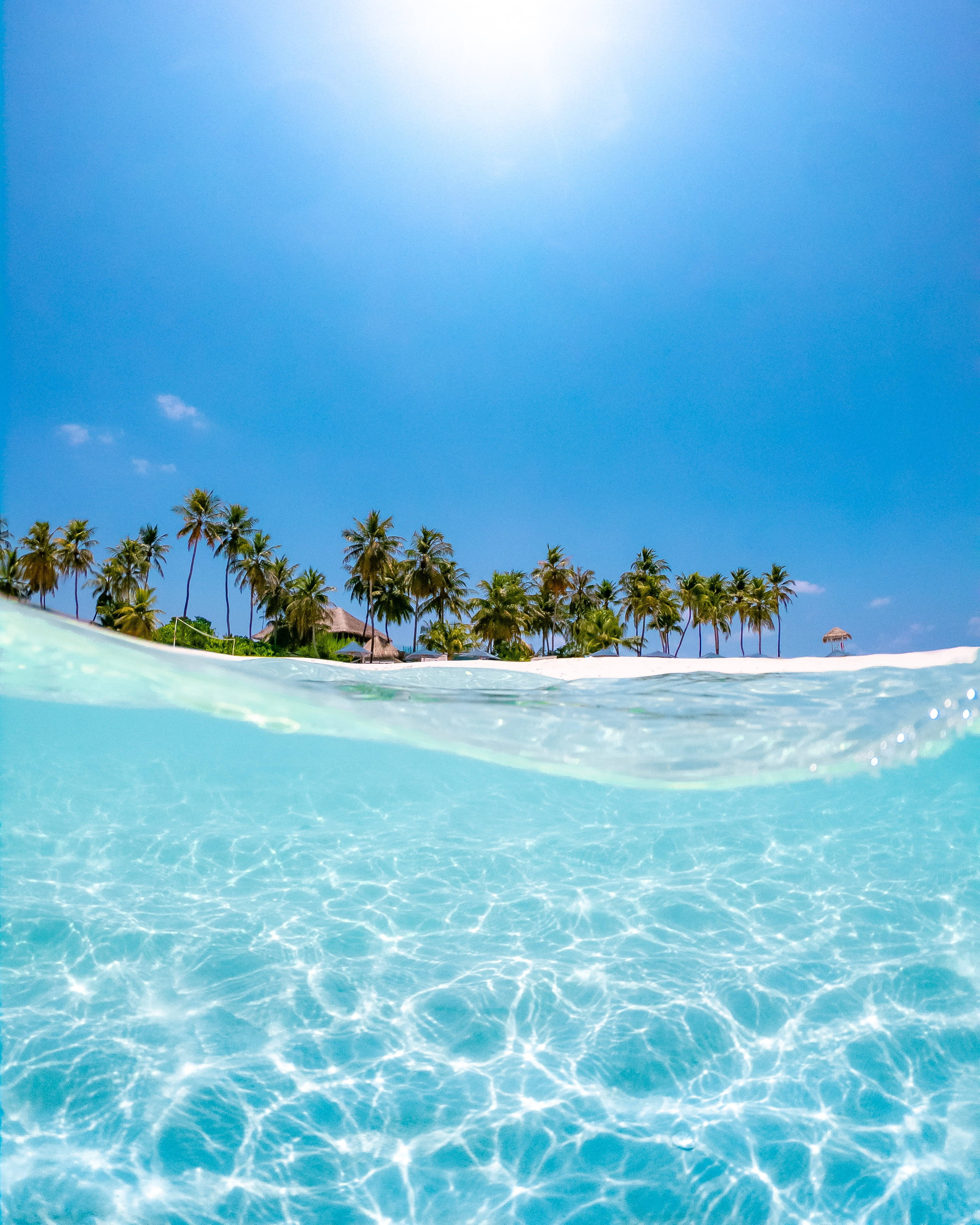 Tropical Climes And Beach Wave, turquoise water, palm trees, 2K Phone Wallpaper