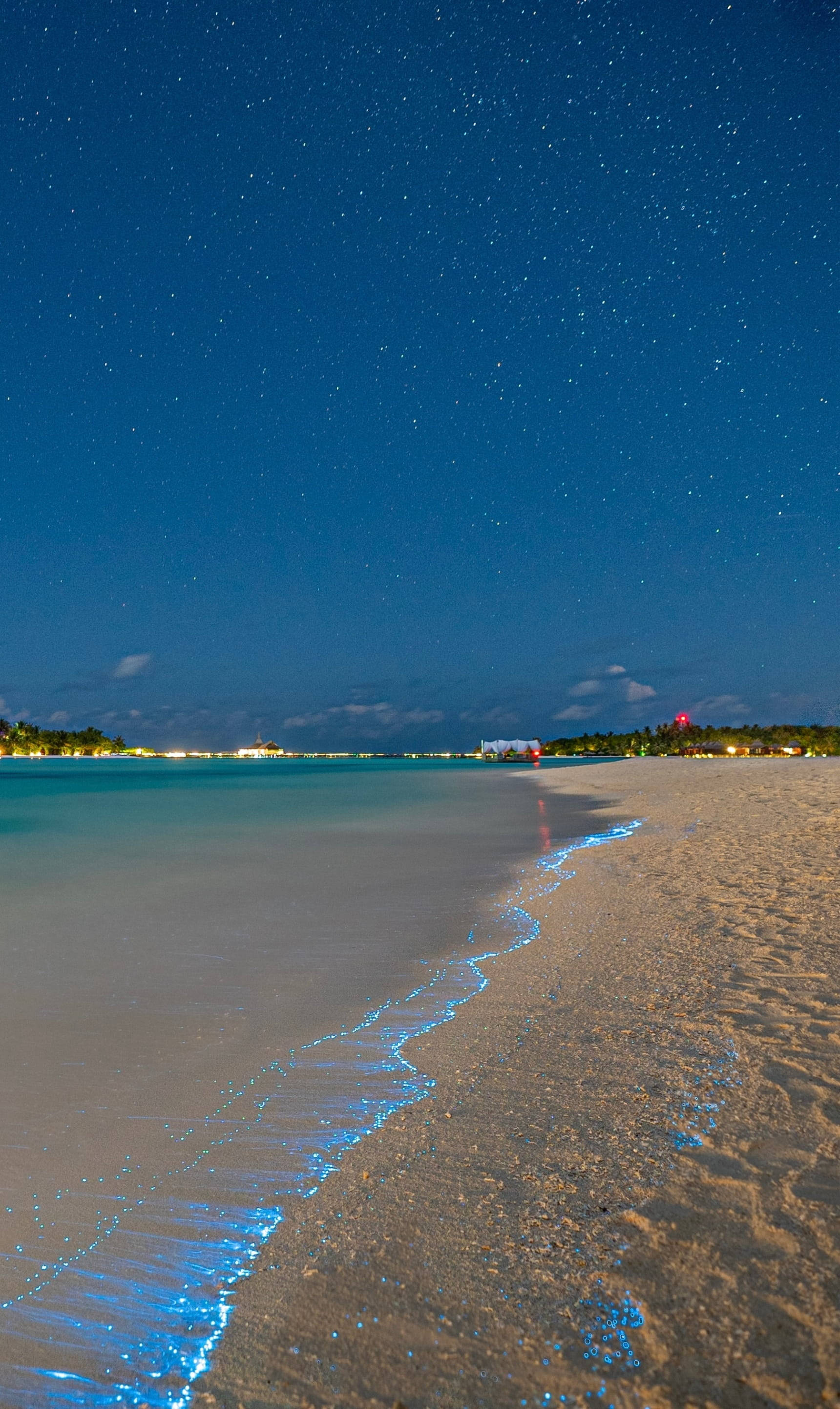 bioluminescent beach, glowing blue waves, golden sand, 2K Phone Wallpaper