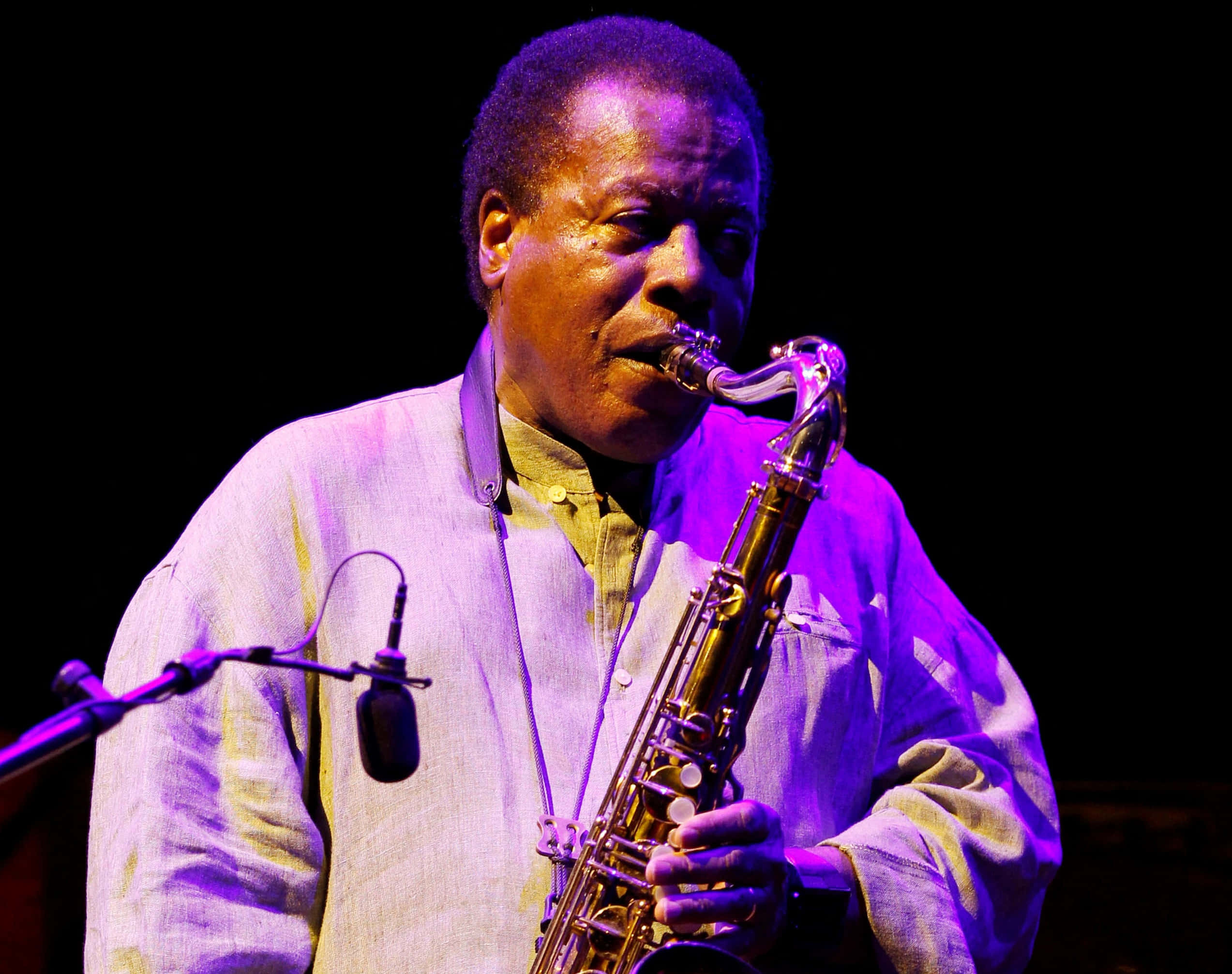 Wayne Shorter, purple stage lights, jazz saxophonist, Full HD Desktop Wallpaper