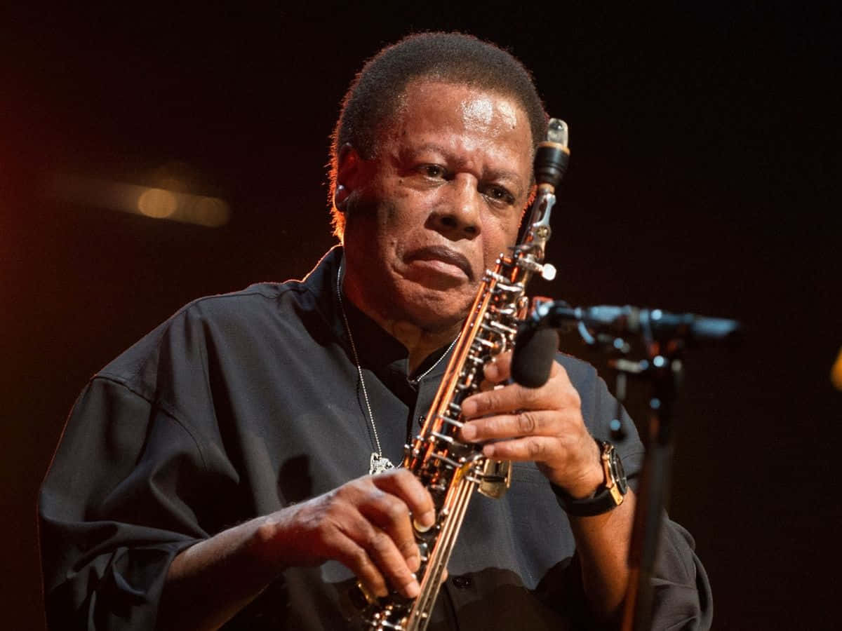 Wayne Shorter, saxophone, warm stage lights, SD Desktop Wallpaper