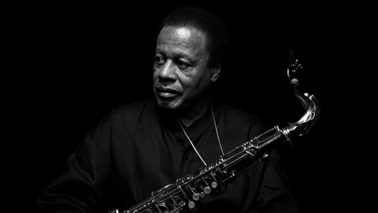 Wayne Shorter, jazz saxophonist, black and white portrait, HD Desktop Wallpaper