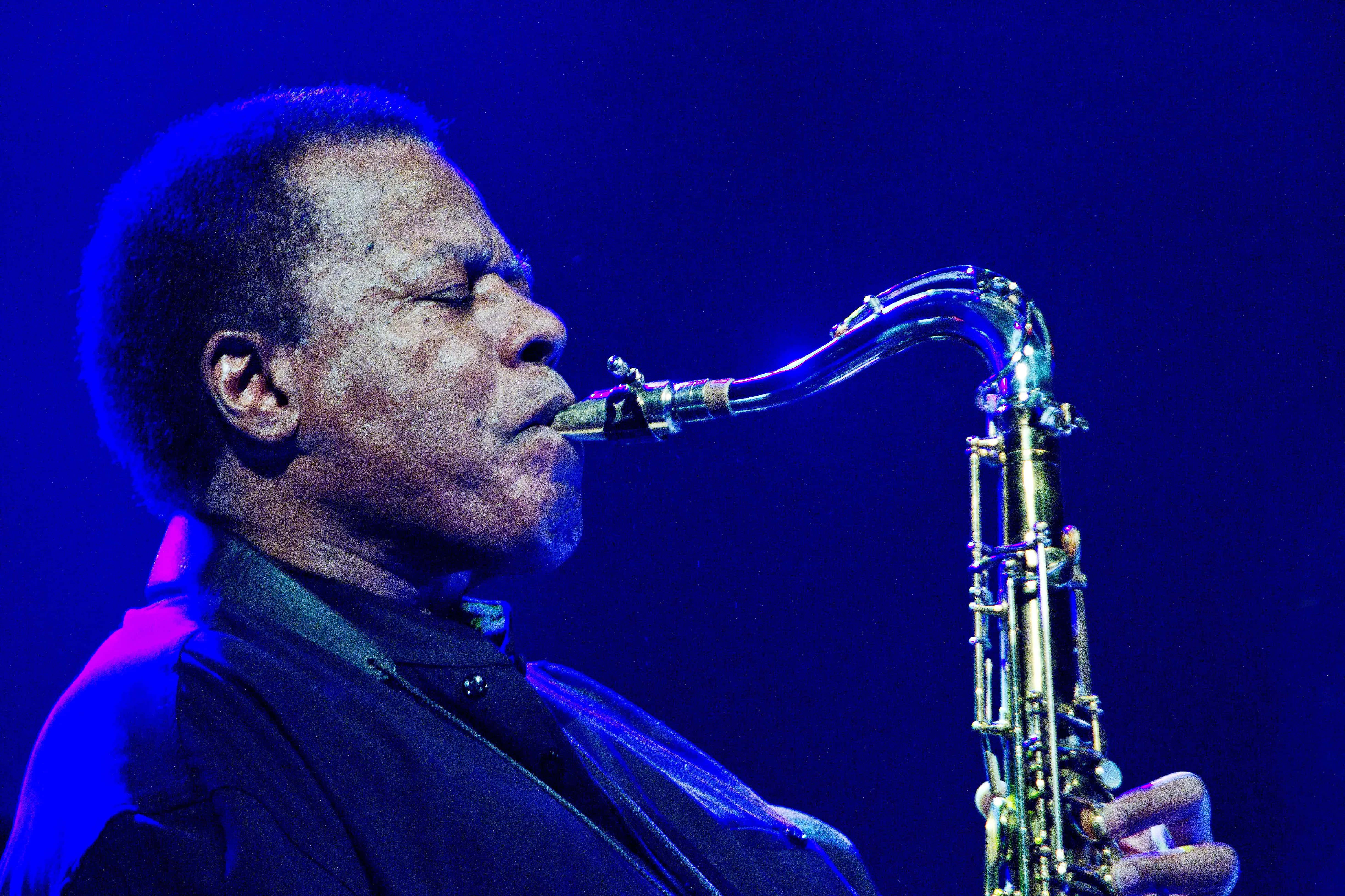Wayne Shorter, jazz saxophonist, deep blue stage lights, 4K Desktop Wallpaper