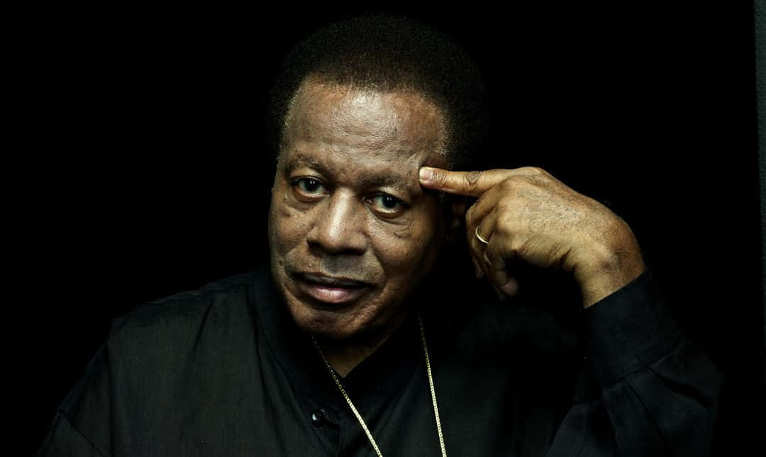 Wayne Shorter, live on stage, thoughtful expression, SD Desktop Wallpaper