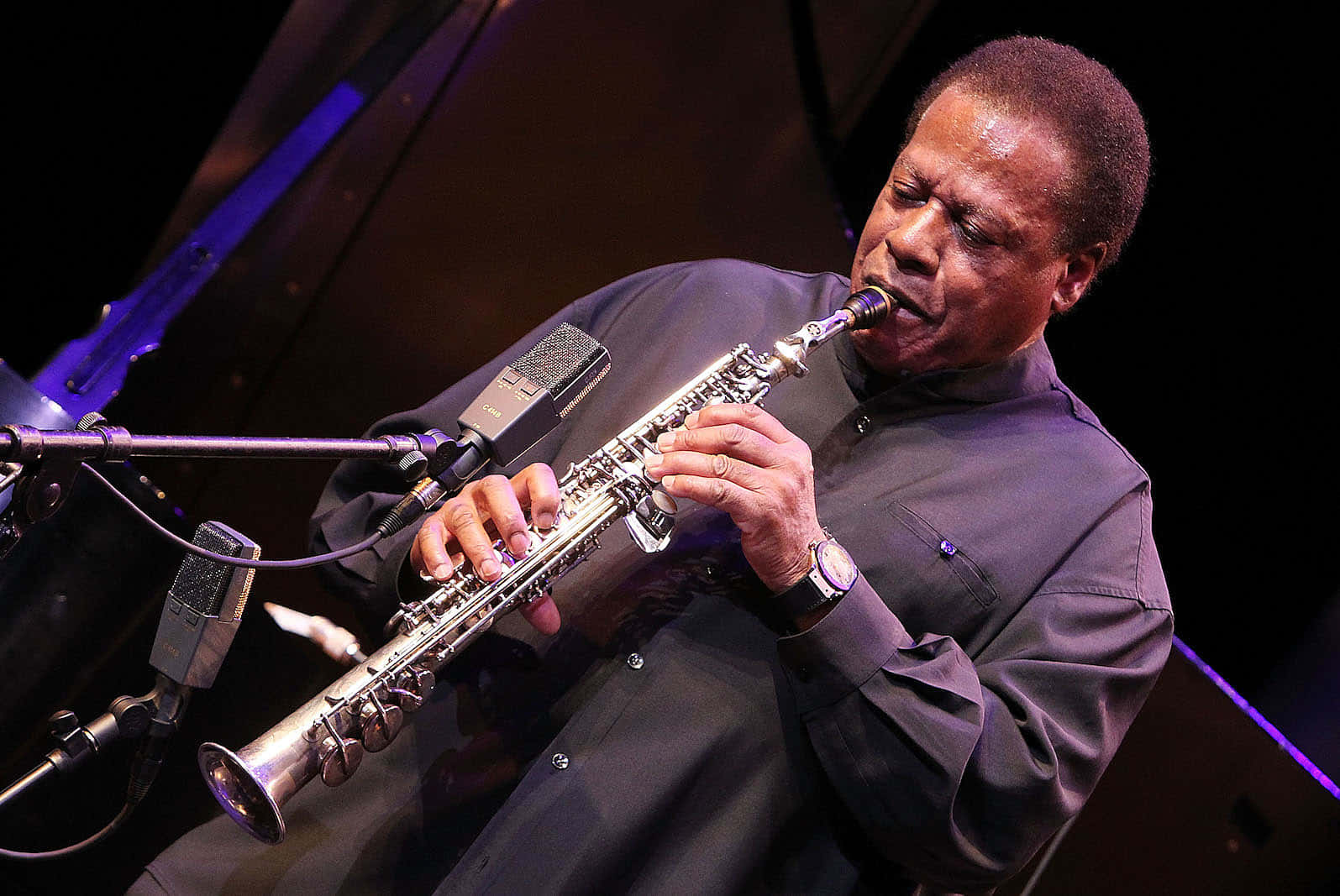 Wayne Shorter, silver saxophone, purple stage lighting, HD Desktop Wallpaper
