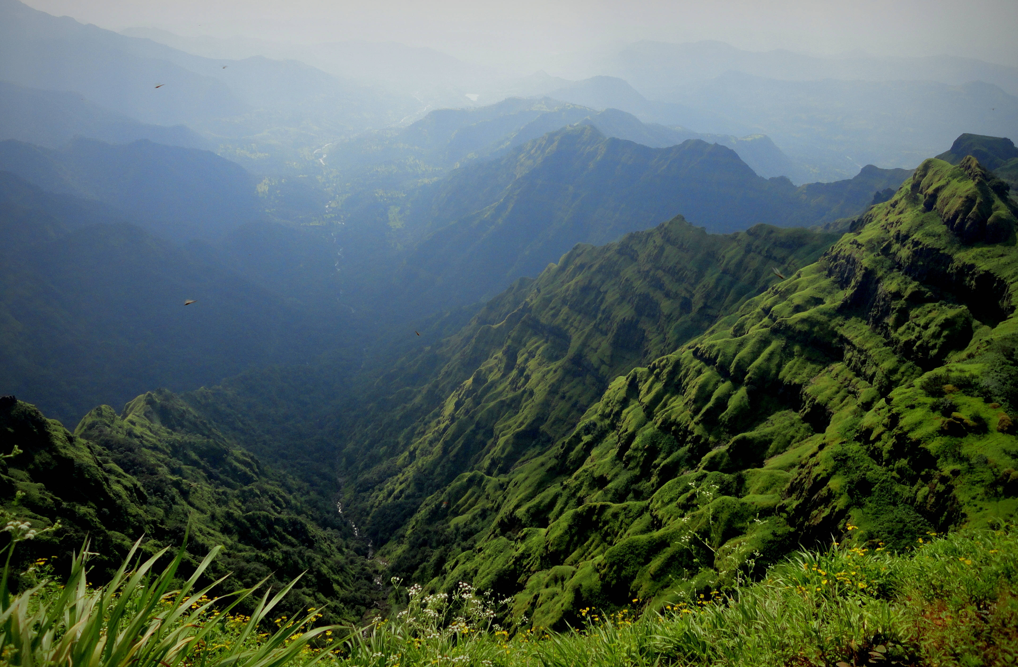Mountain Fog, vast emerald mountain range, misty distance, 4K Desktop Wallpaper