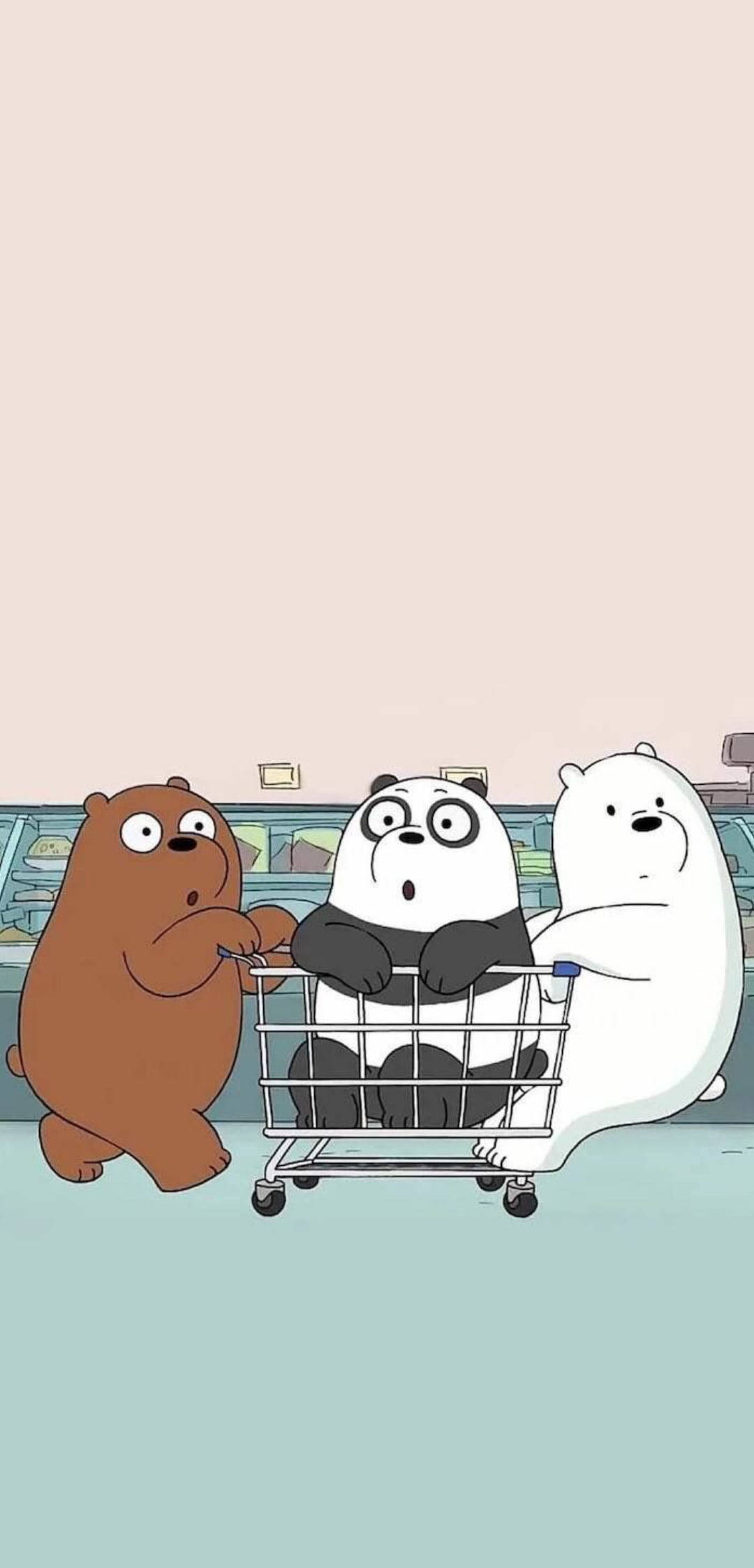 We Bare Bears Aesthetic, grocery cart, supermarket aisle, Full HD Phone Wallpaper