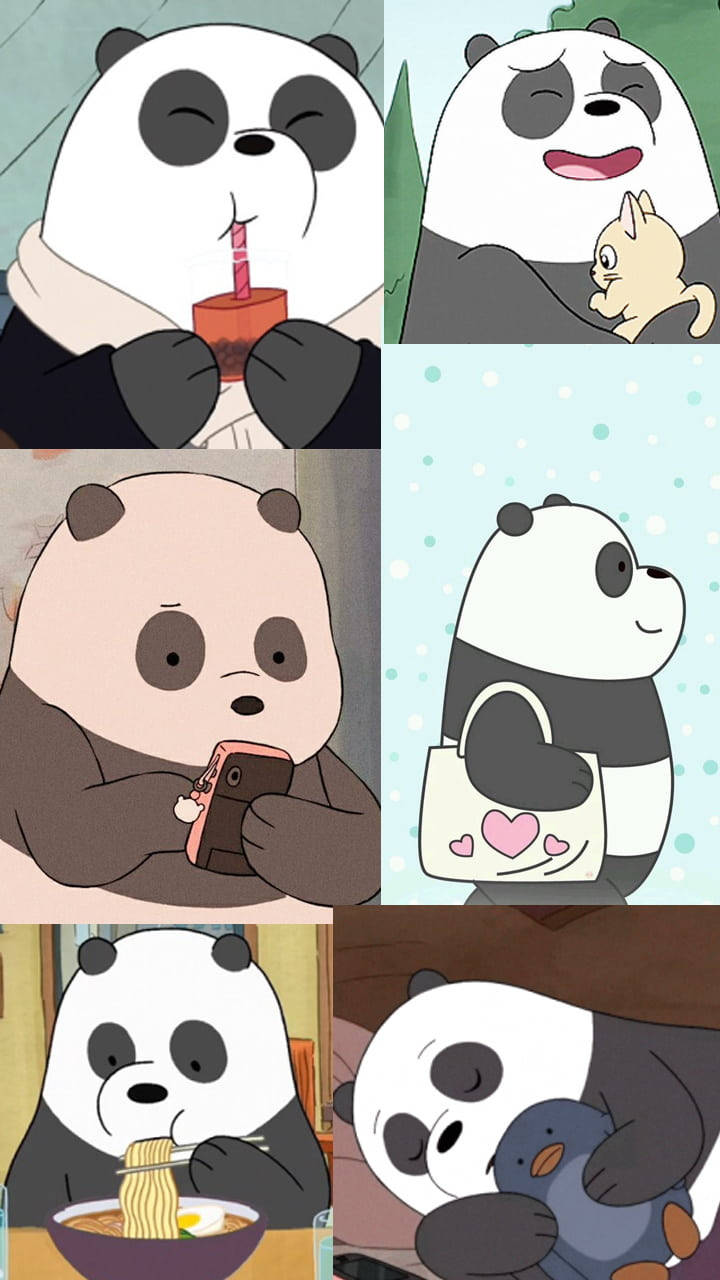 We Bare Bears, panda, cat, HD Phone Wallpaper