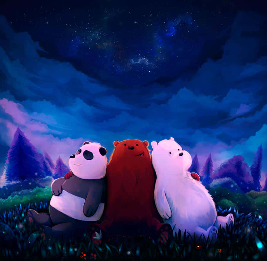 We Bare Bears, starry night sky, grassy field, SD Desktop Wallpaper