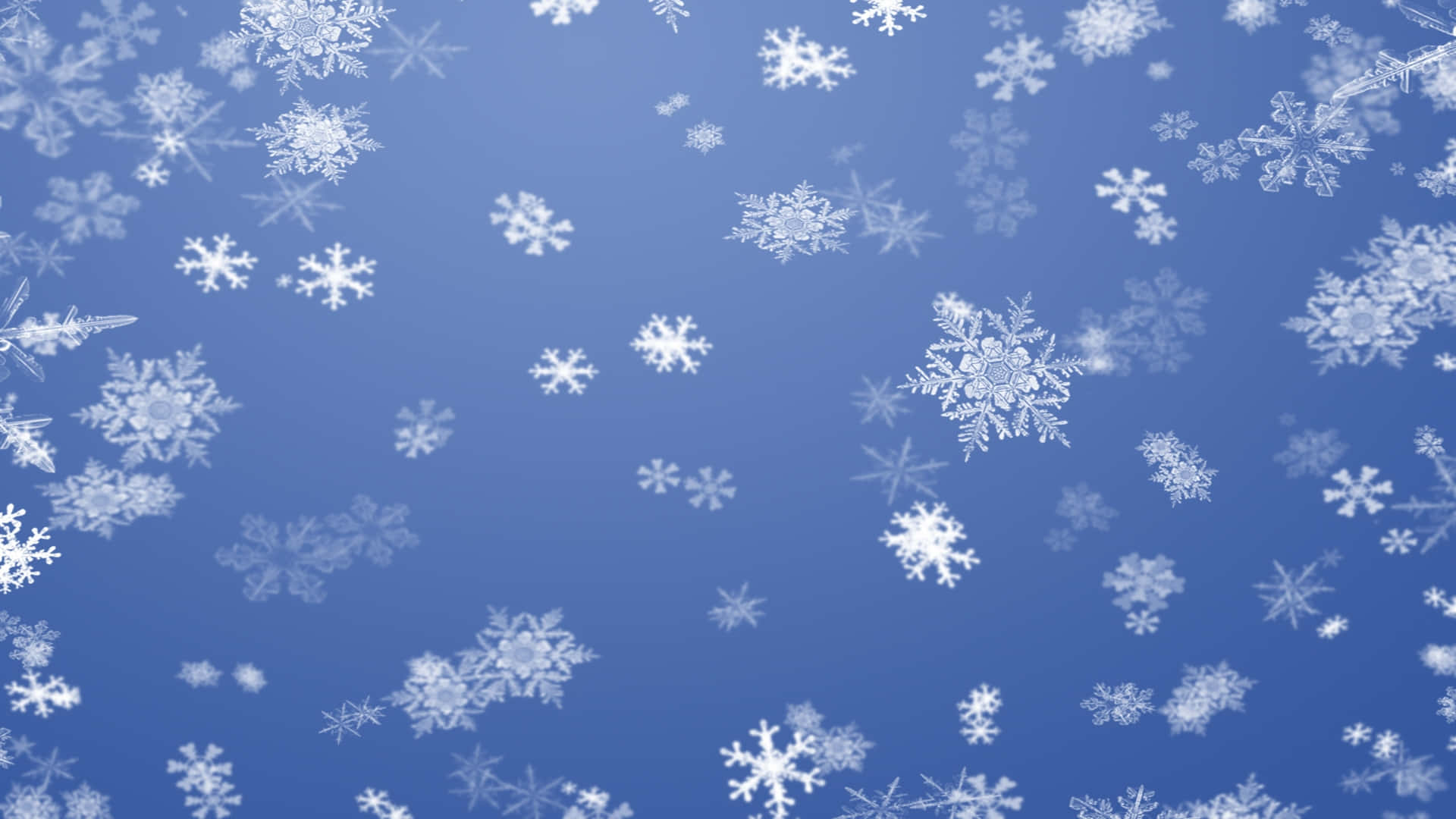 gentle snowflake descend, delicate white snowflakes, serene gradient blue sky, Full HD Desktop Wallpaper