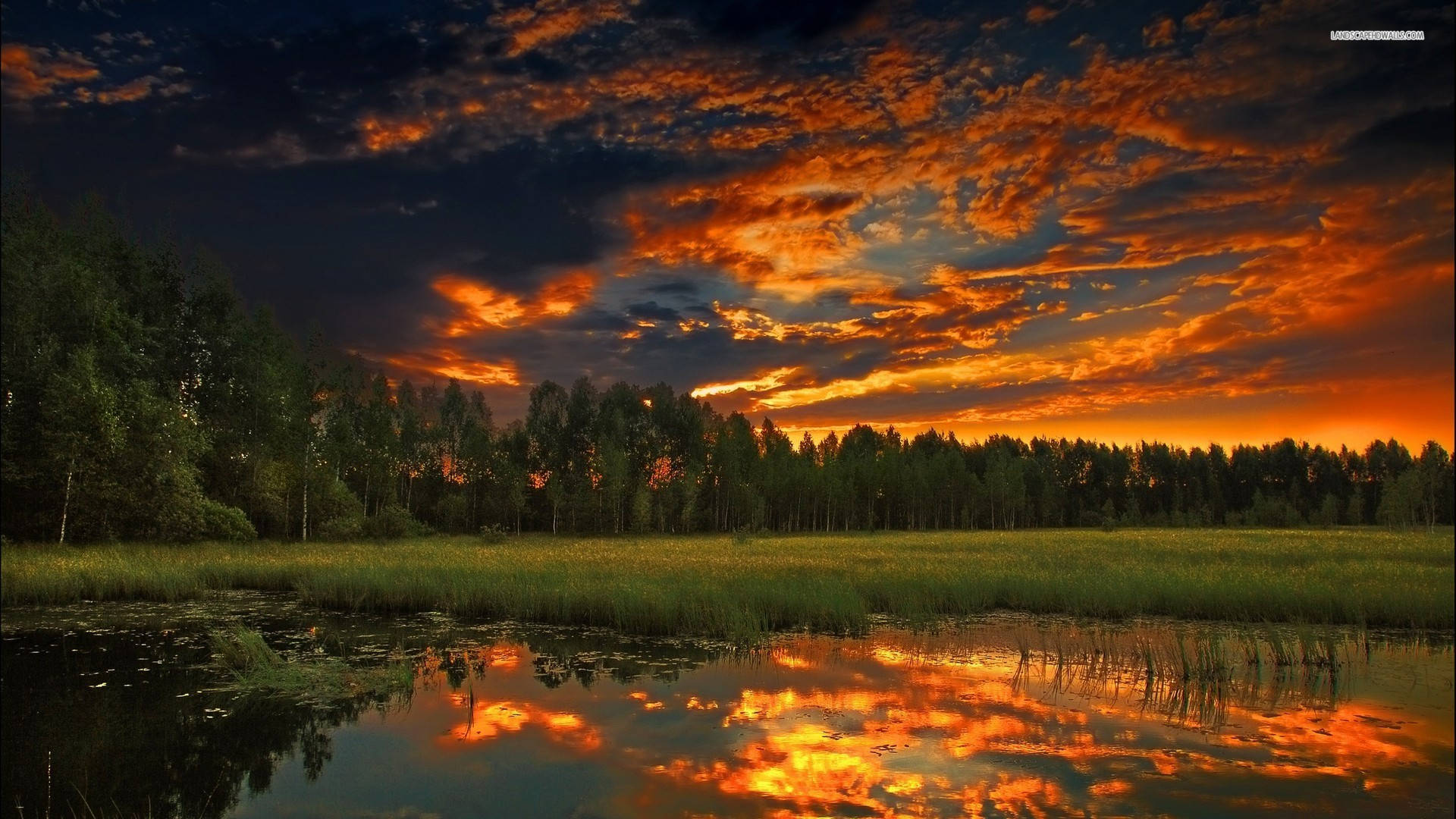fiery sunset, orange and red hues, calm pond, Full HD Desktop Wallpaper