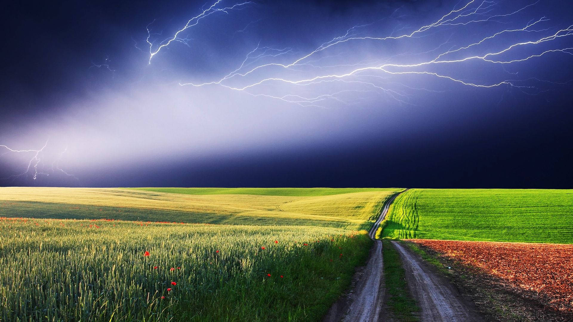 bad weather meadow landscape, dirt road, vibrant green fields, Full HD Desktop Wallpaper