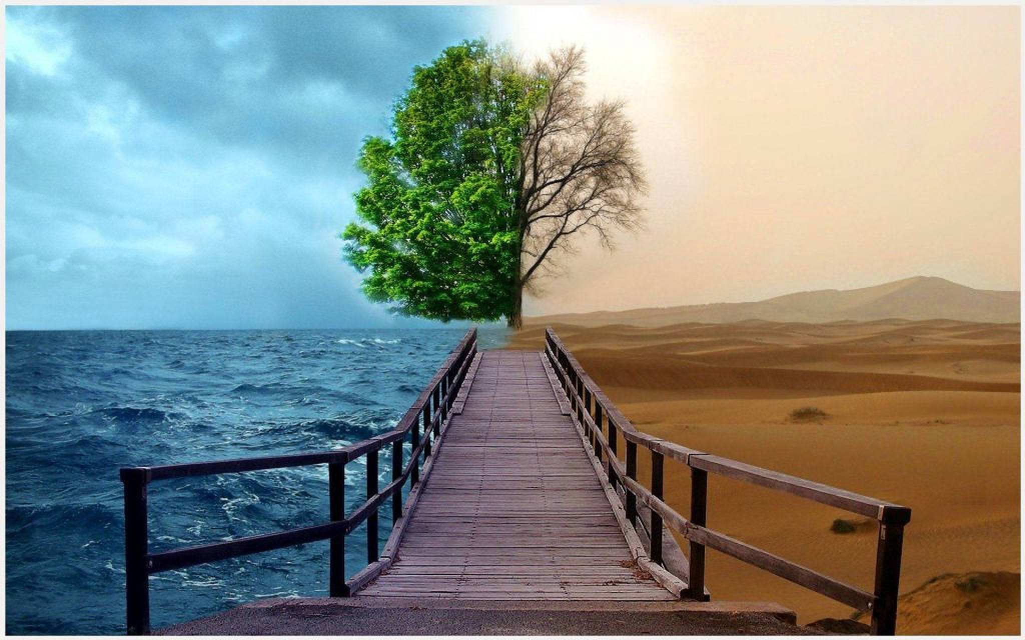 wooden pier, surreal landscape, tree with half green foliage and half bare branches, Full HD Desktop Wallpaper