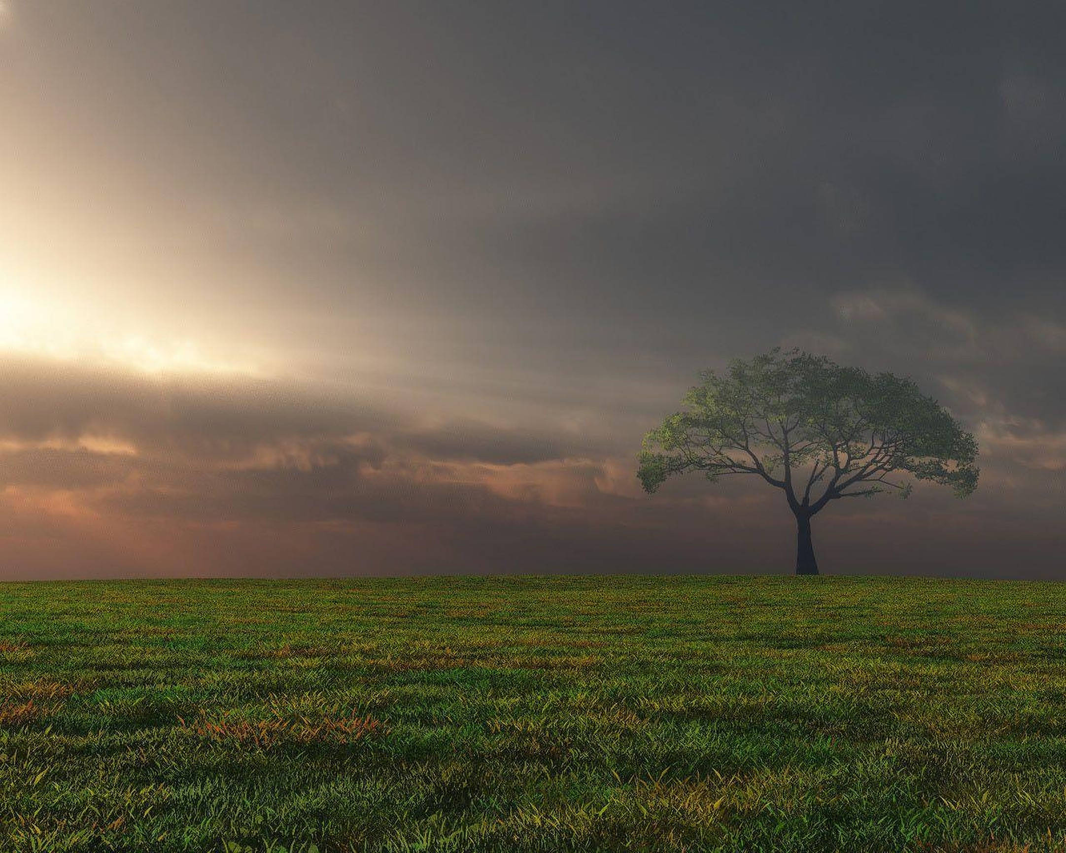 fine weather landscape, vast green field, dramatic twilight sky, Full HD Desktop Wallpaper