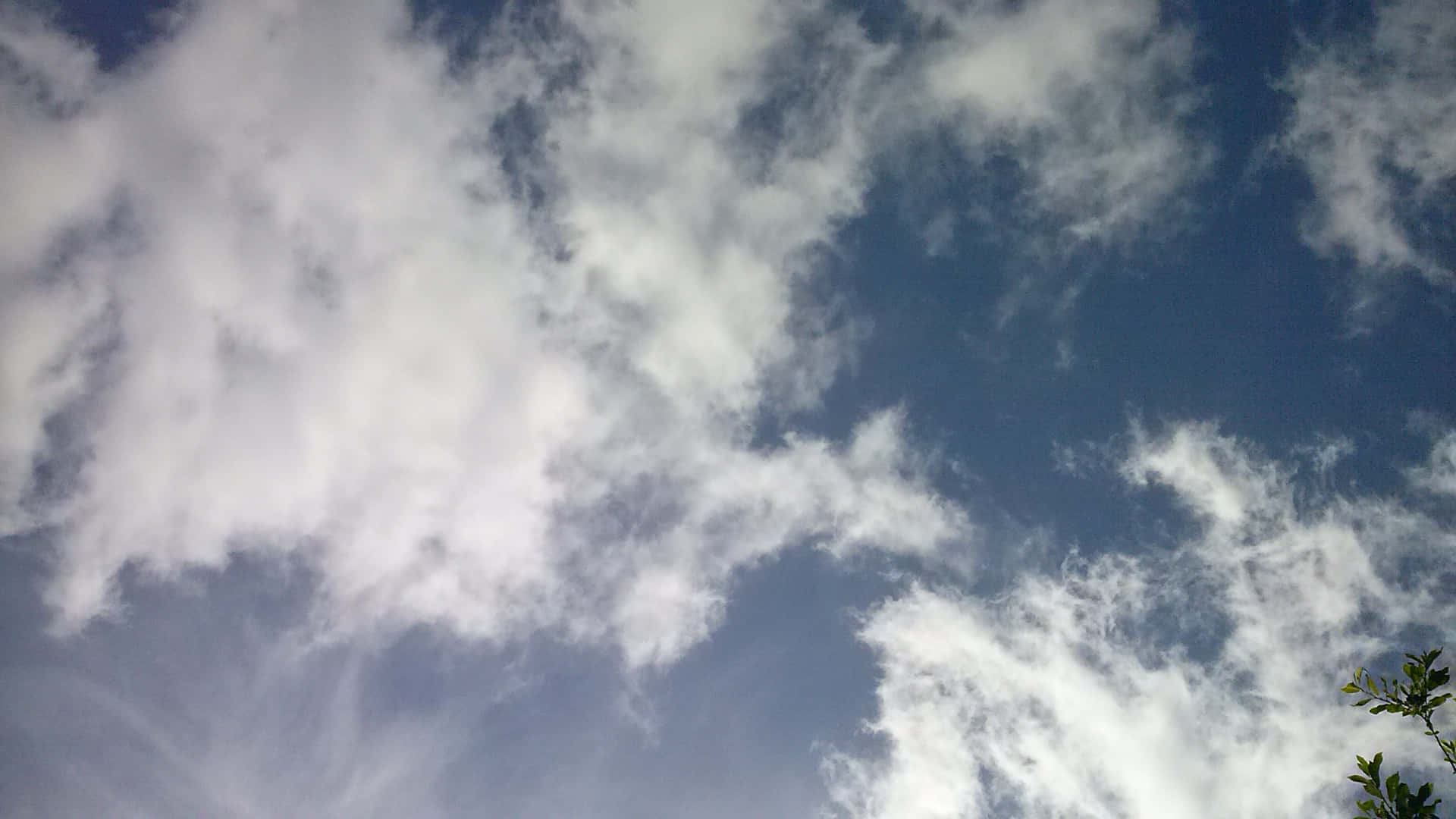 bright blue sky, fluffy white clouds, green tree branches, Full HD Desktop Wallpaper