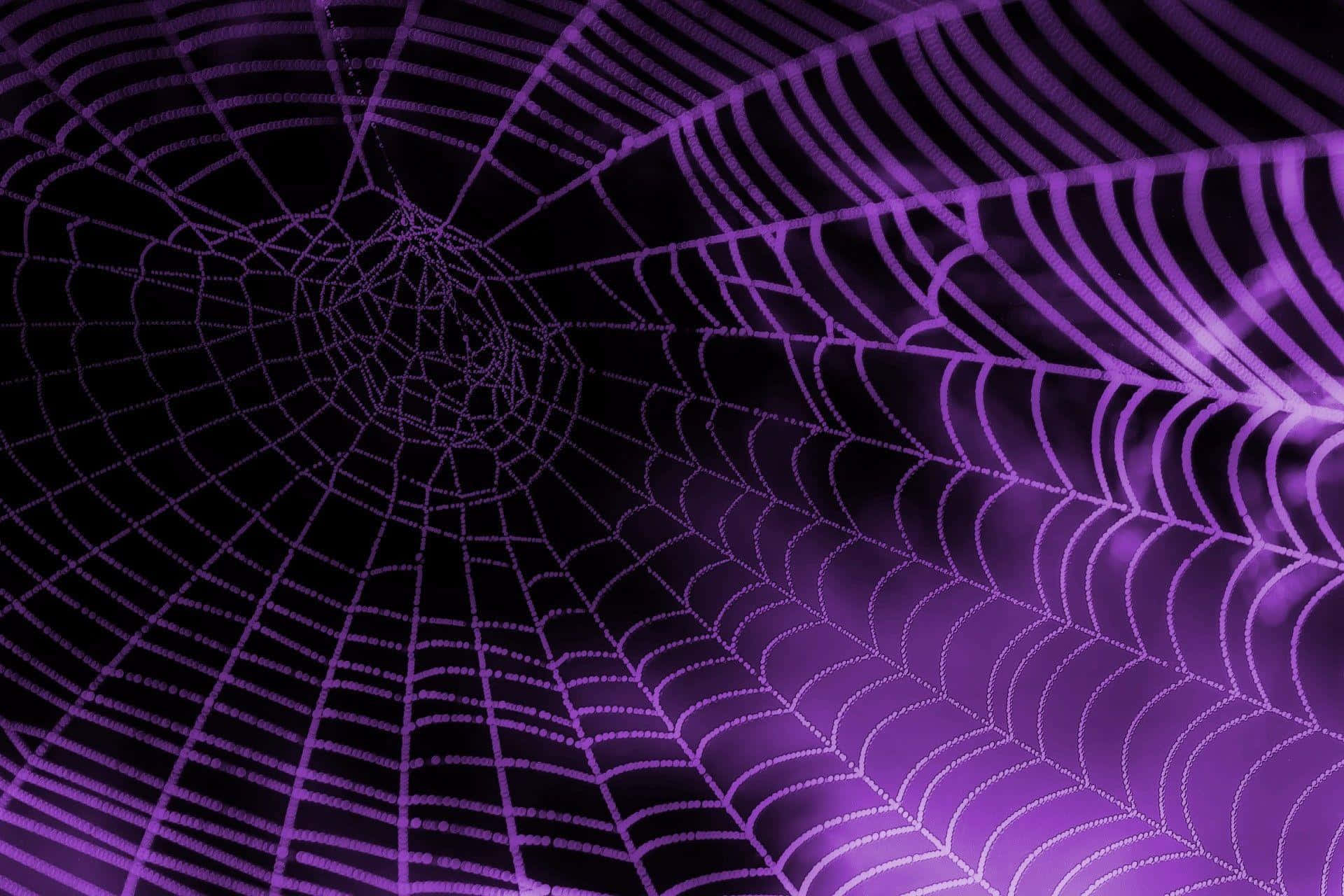 purple spiderweb, glowing purple, dark background, Full HD Desktop Wallpaper