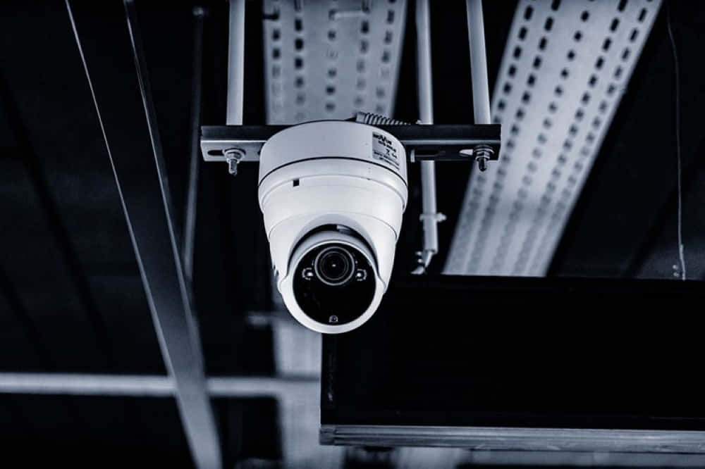 white dome security camera, metal ceiling grid, industrial space, SD Desktop Wallpaper