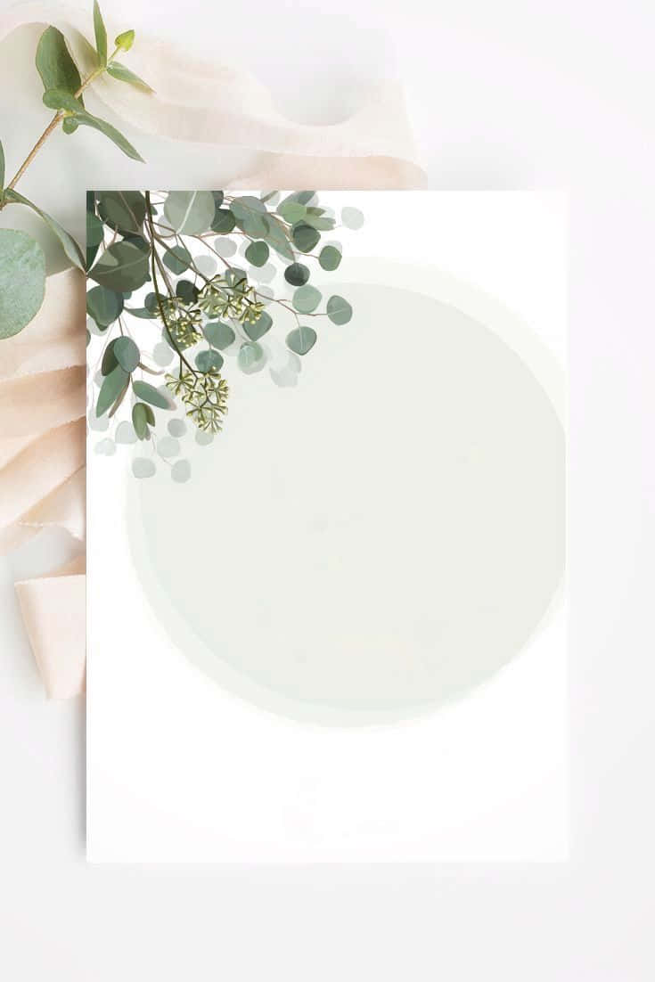 Ficus And Fig, eucalyptus branches, blush fabric, SD Phone Wallpaper