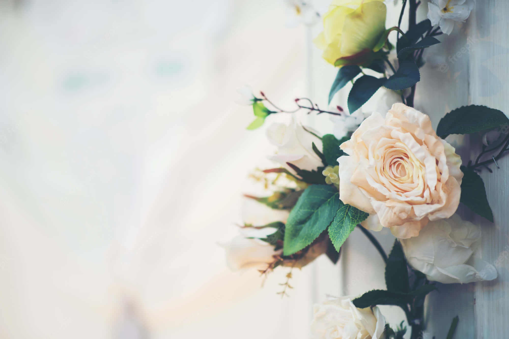 white rose, peach and white roses, green leaves, Full HD Desktop Wallpaper