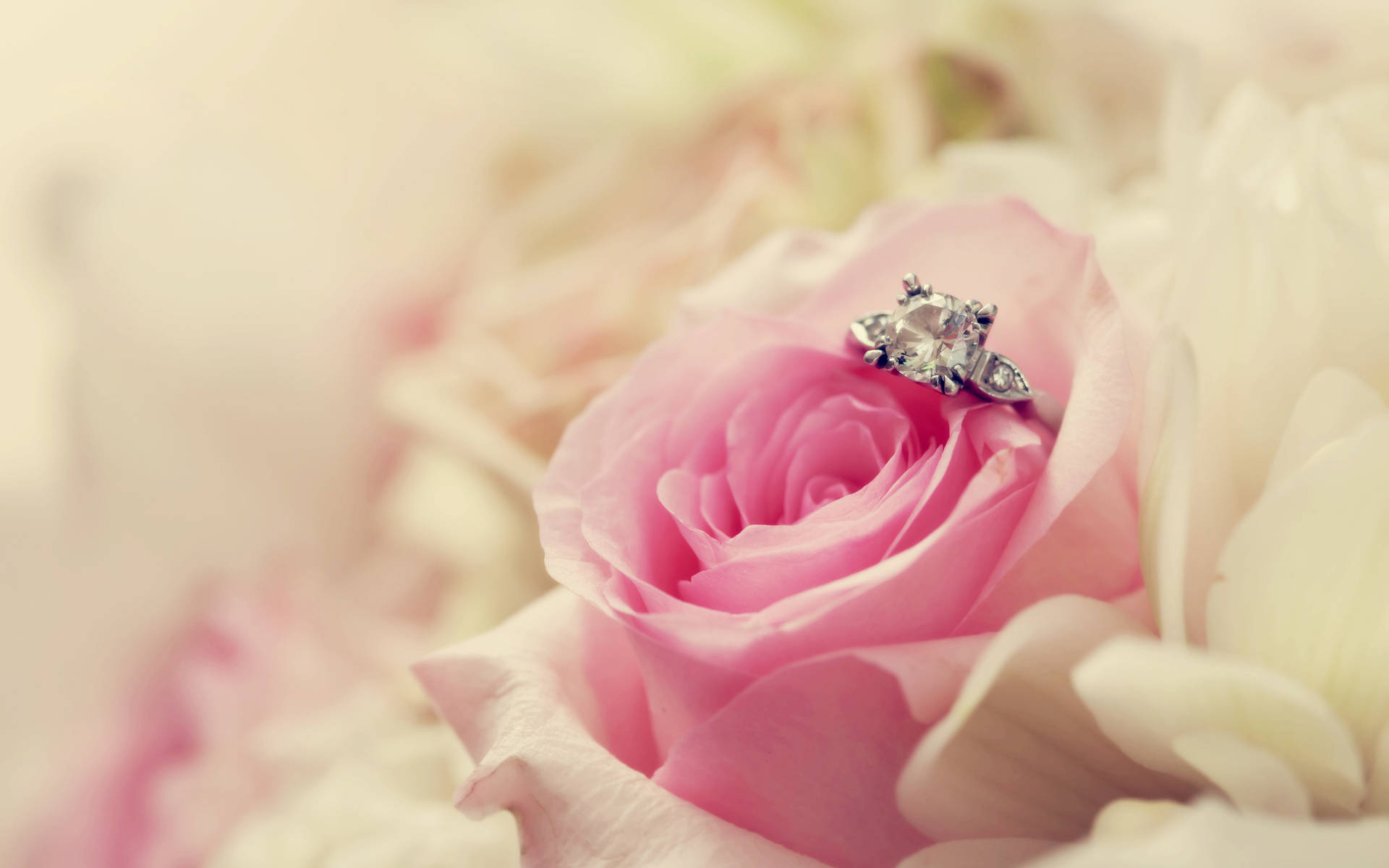 Wedding Aesthetic Ring, rose, pink rose, Full HD Desktop Wallpaper